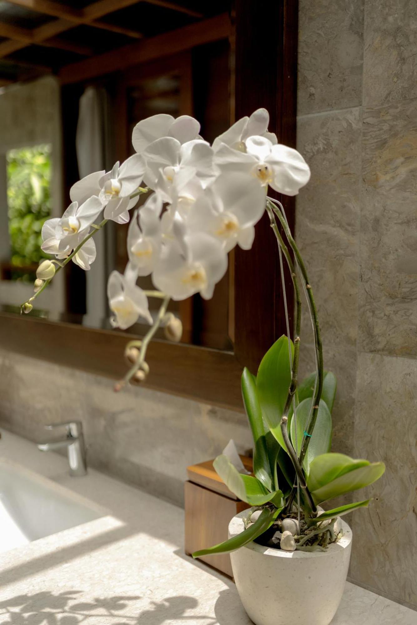 Hotel Anandadara & Ubud (Bali)