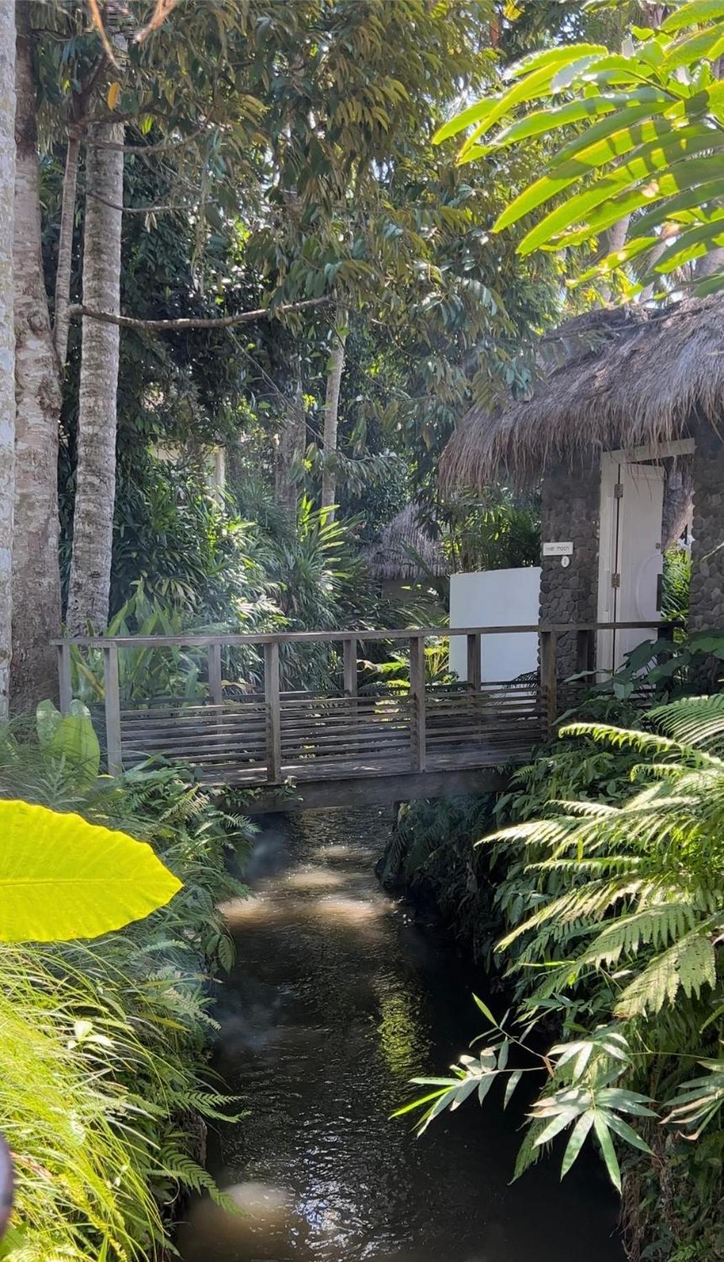 Holiday home River Moon Ubud (Bali)