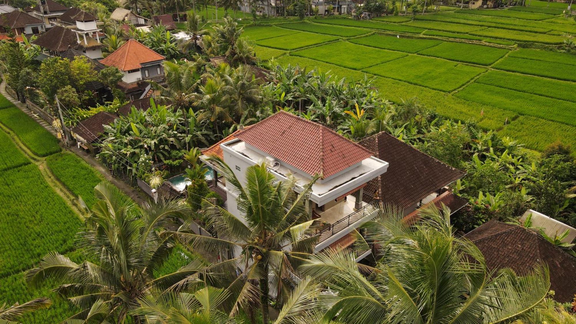 Gasthuis Nirwa 1 Ubud