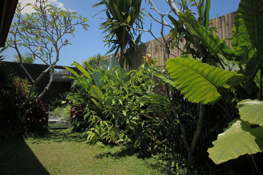 Dugul * Ubud (Bali)
