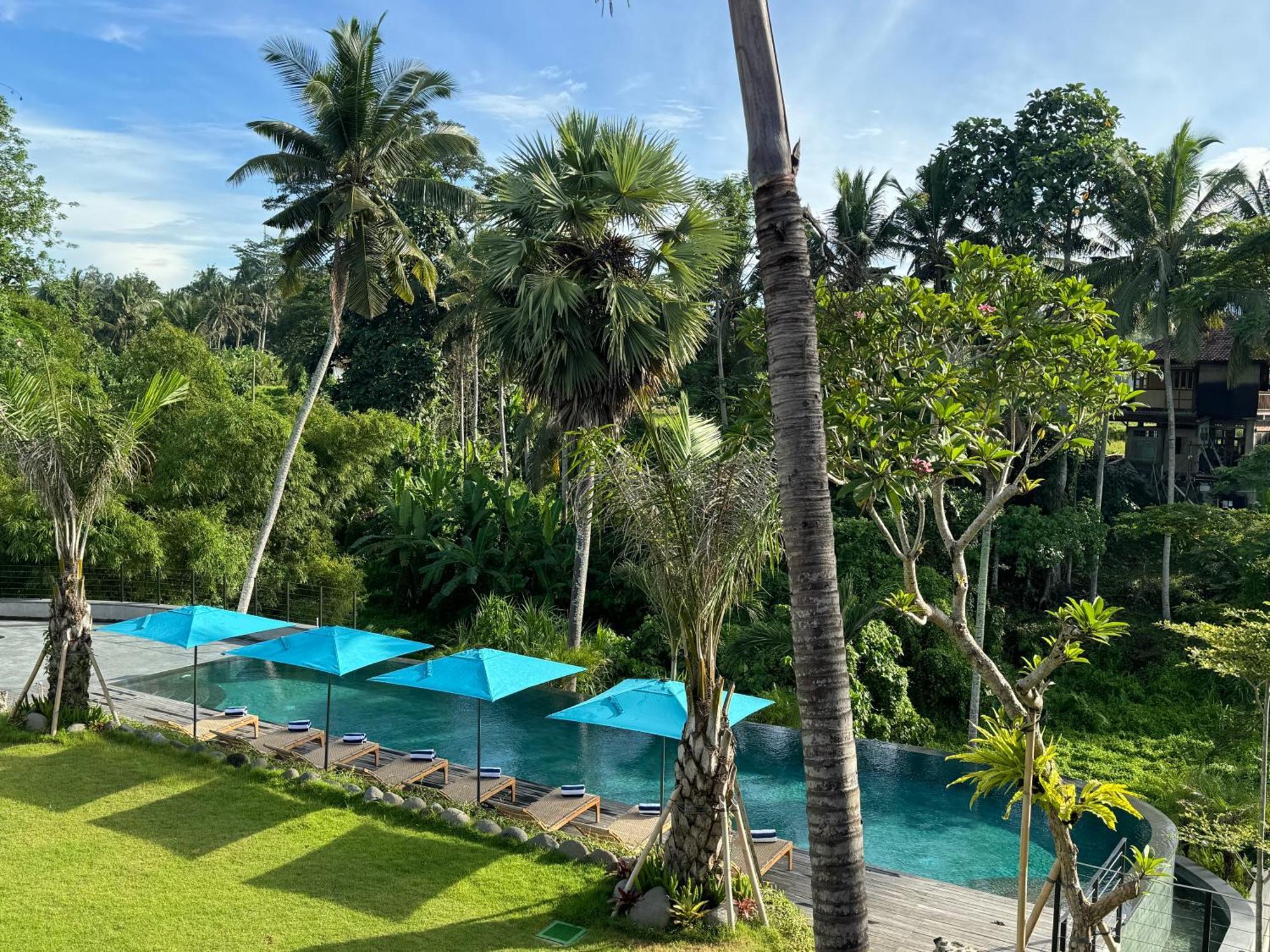Hotel Rudra Sahashrara Bali - Ayurvedic - Health And Wellness