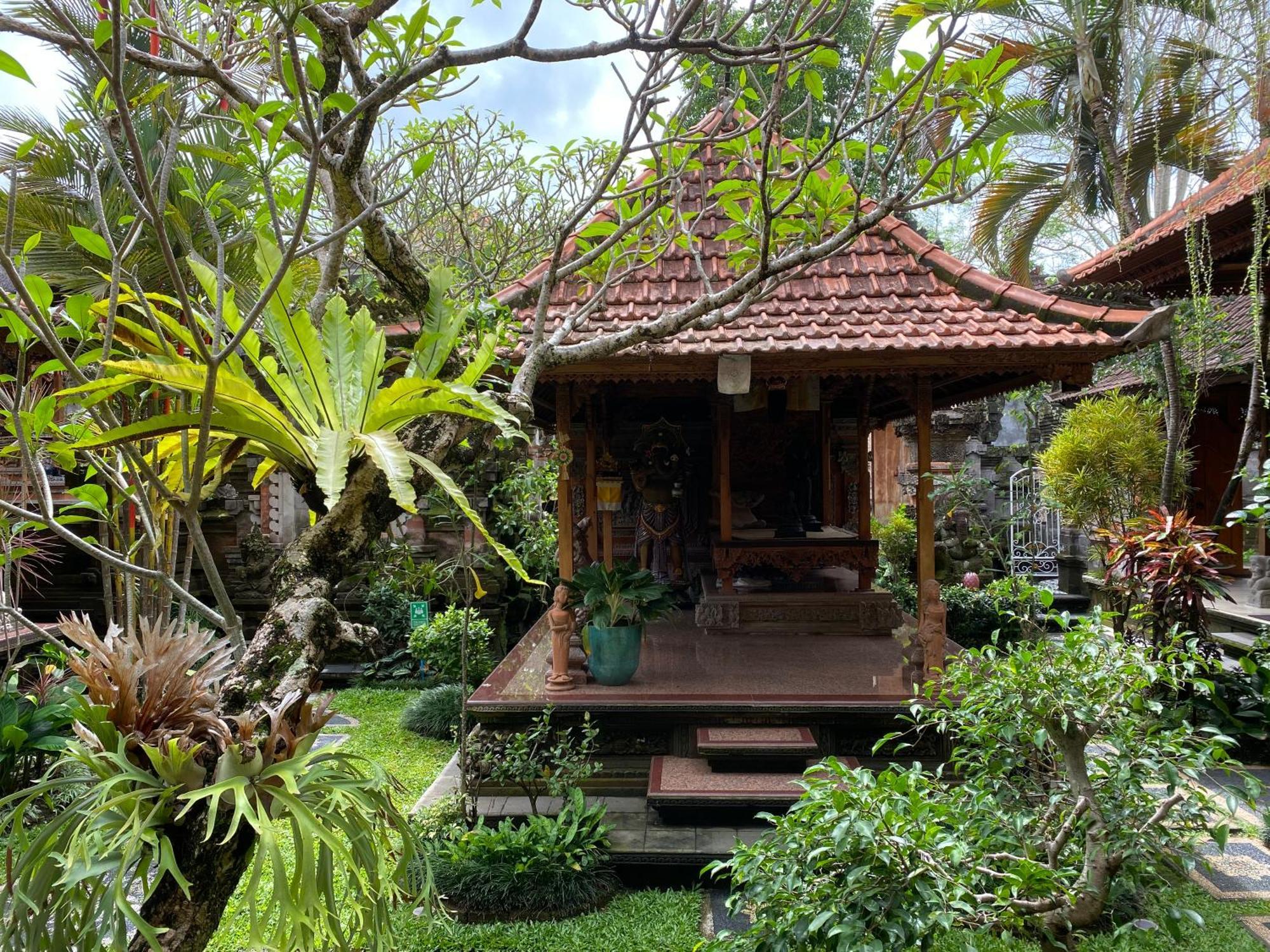 Homestay Narasoma & Retreat