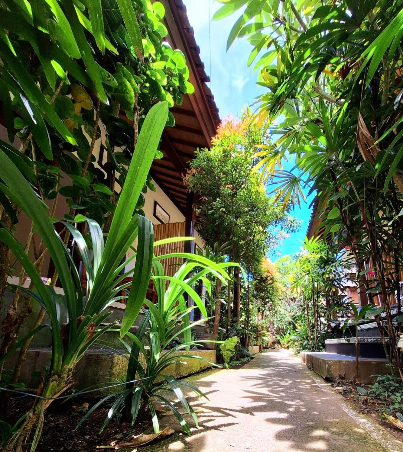 Ferienhaus Yessi House