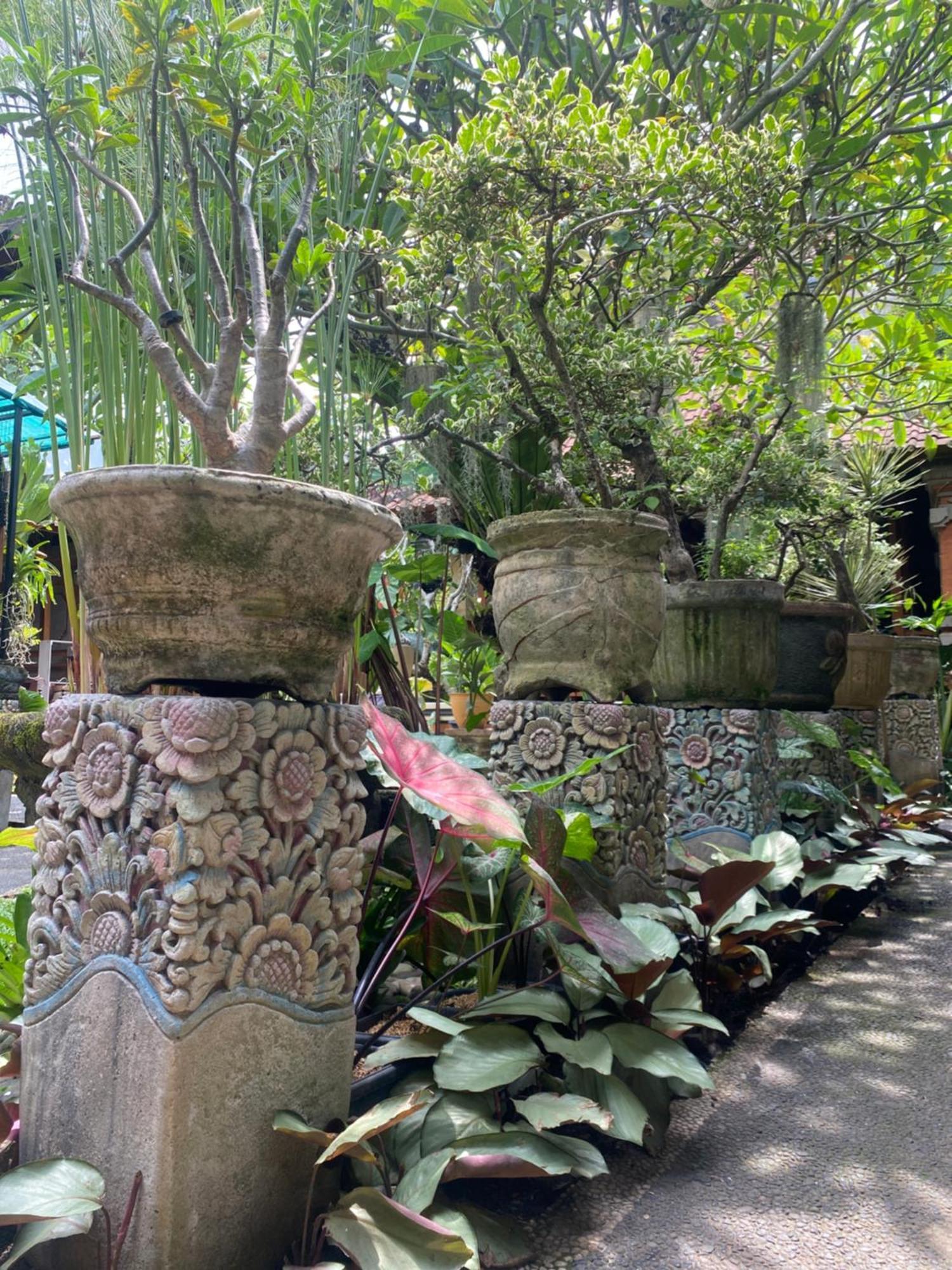 Gus Arditya Homestay Ubud (Bali)