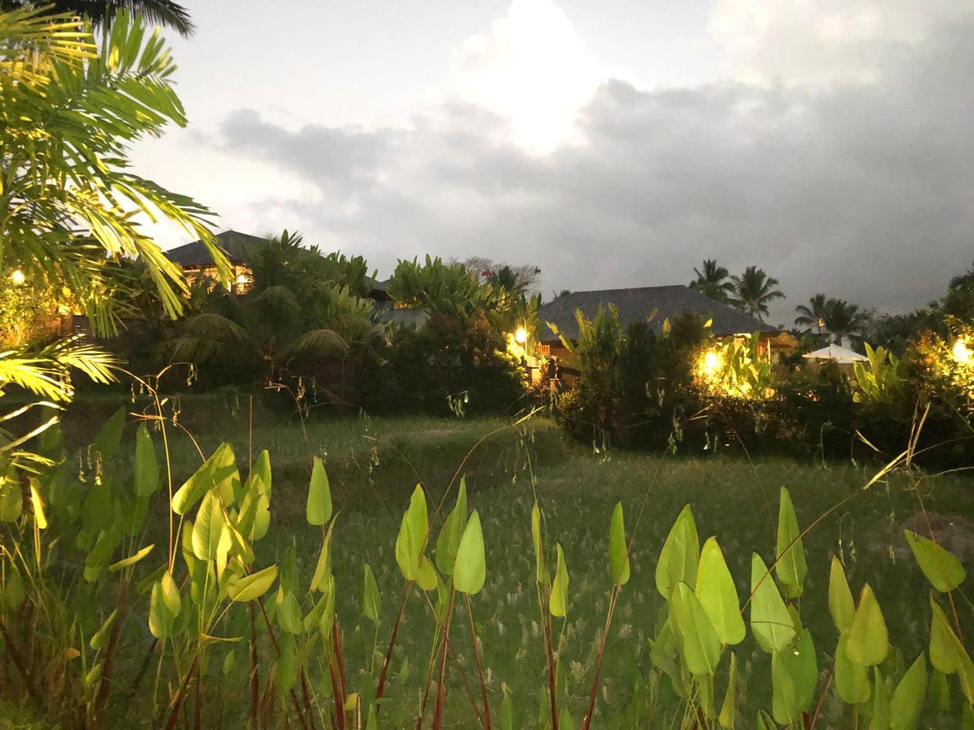 Neyang Ubud (Bali)