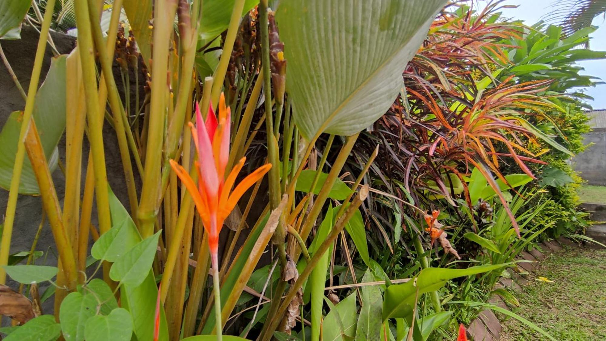 Ferienhaus Paya - Ubud
