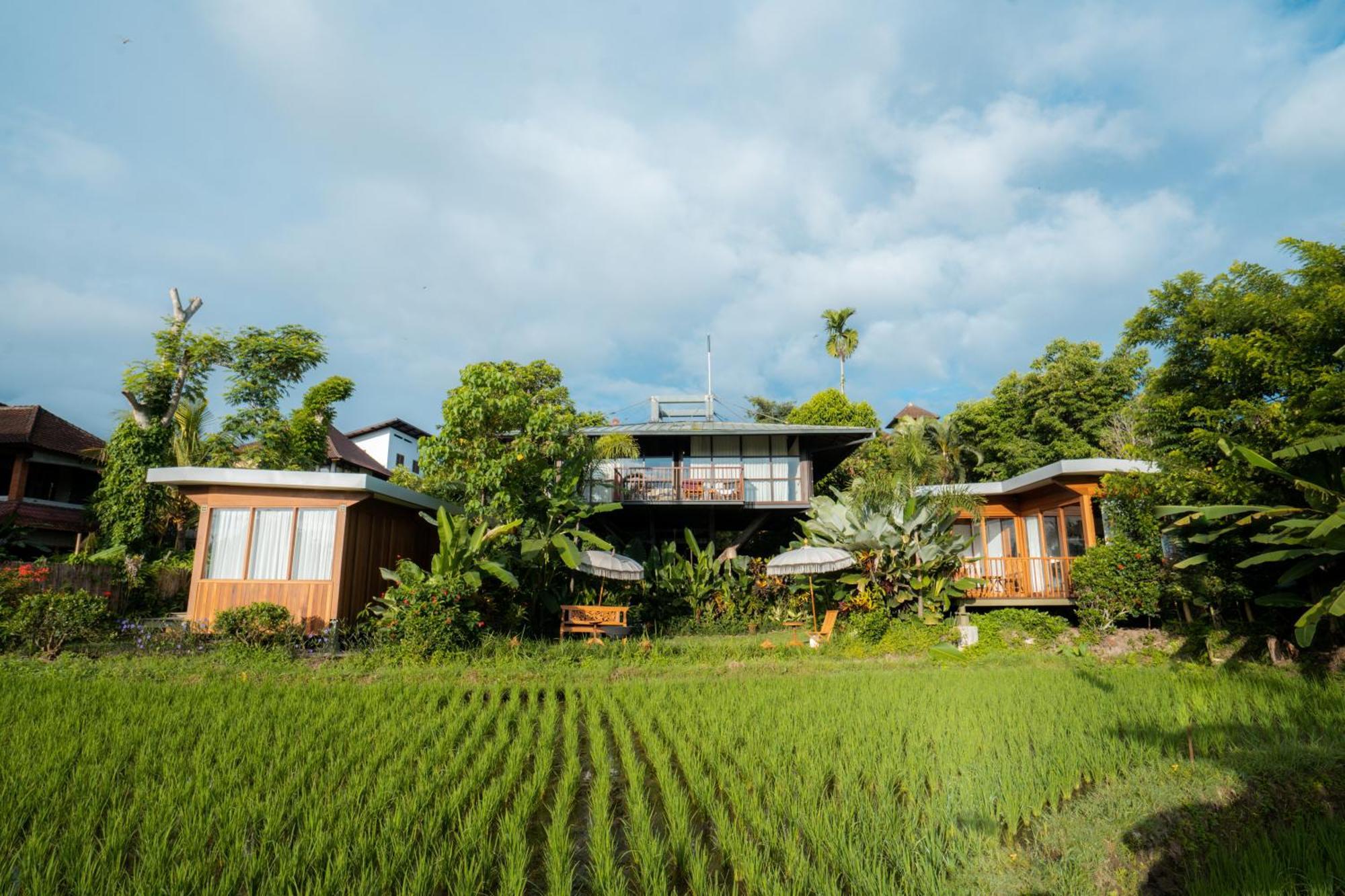 Gruen Ubud (Bali)
