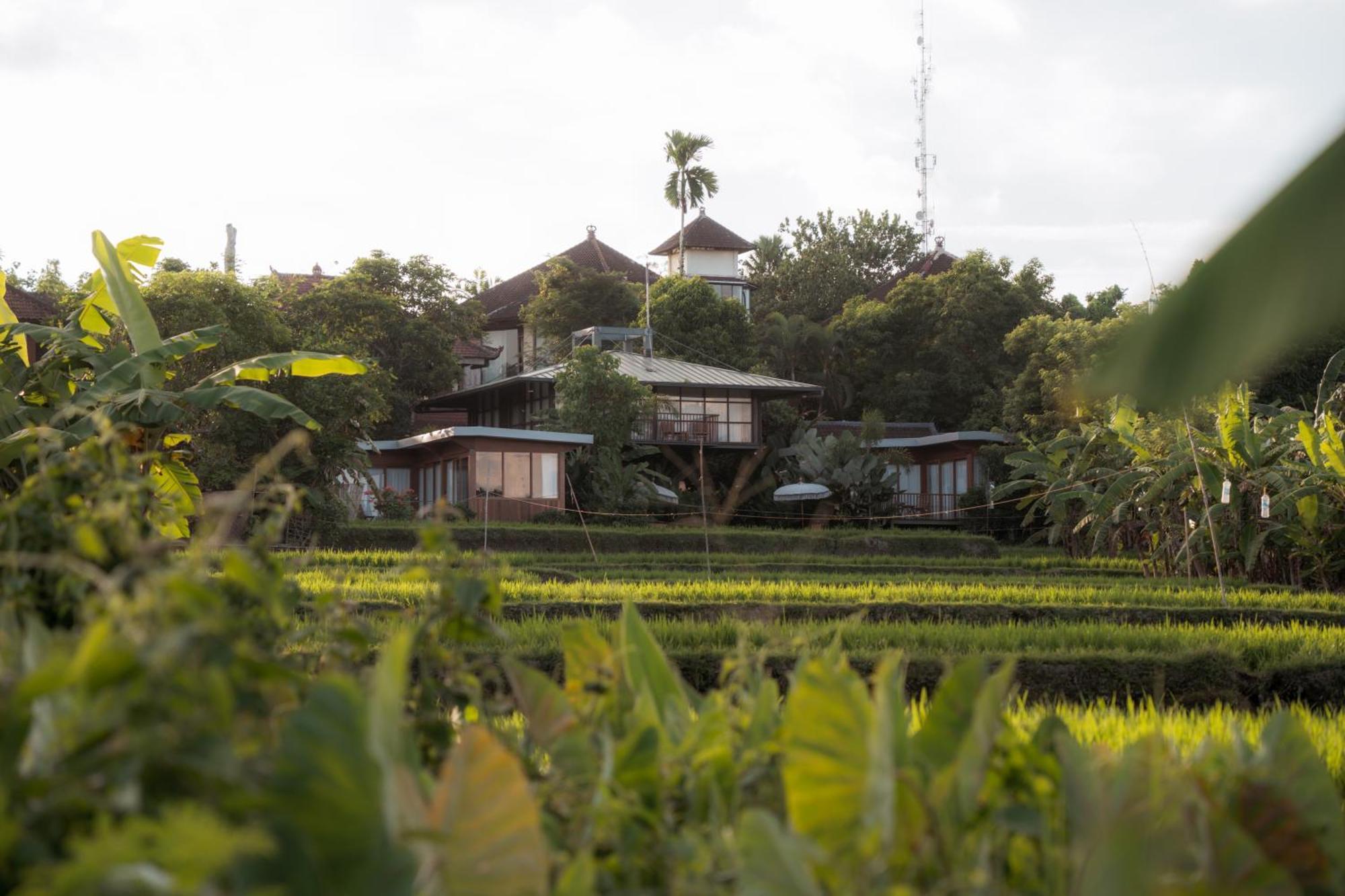 Vila Gruen Ubud (Bali)
