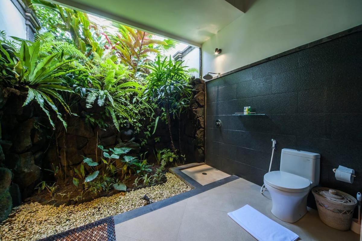 Luxury 3br Infinity Jungle View Aashaya