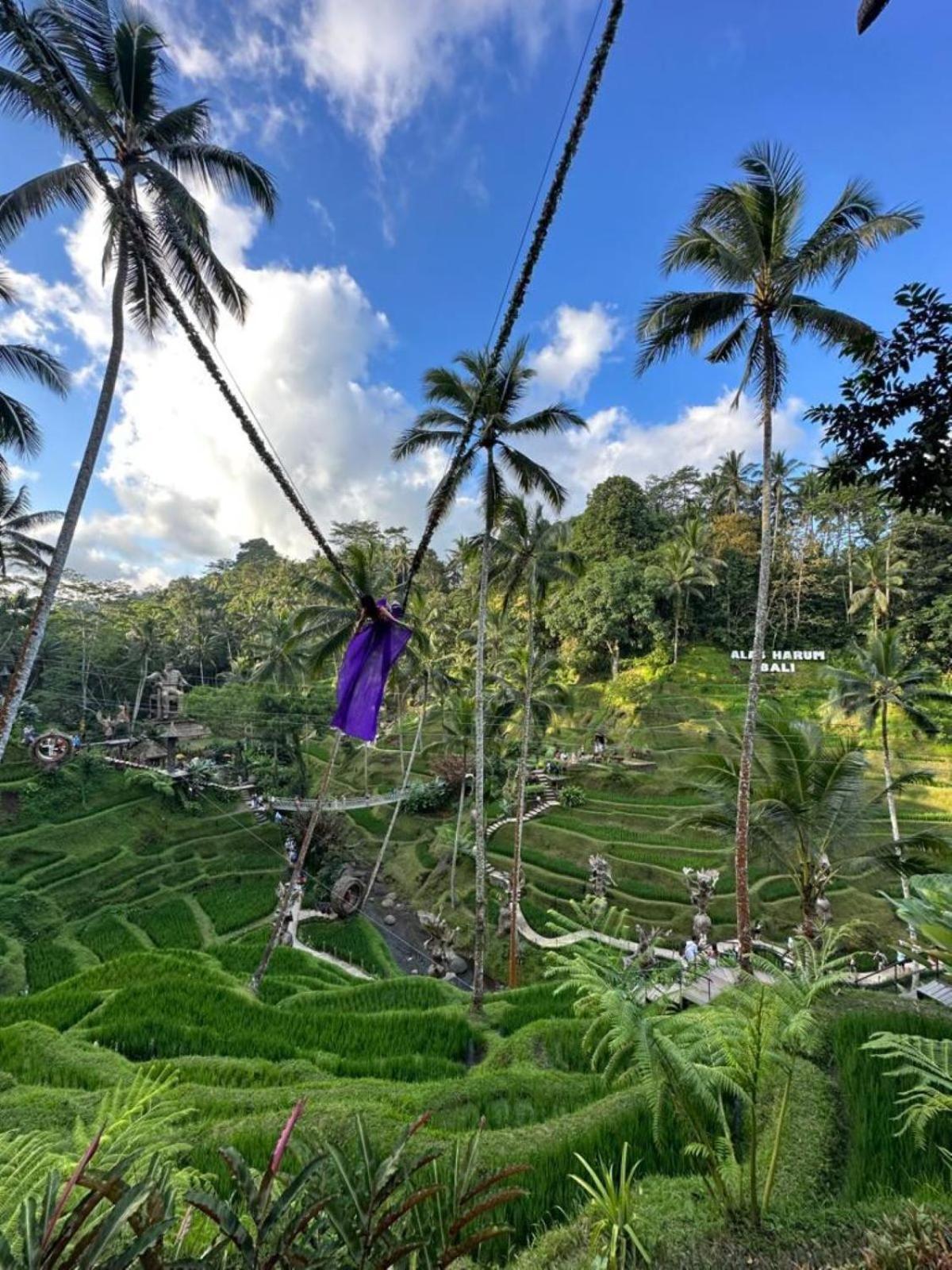 Luxury 3br Infinity Jungle View Aashaya * Ubud (Bali)