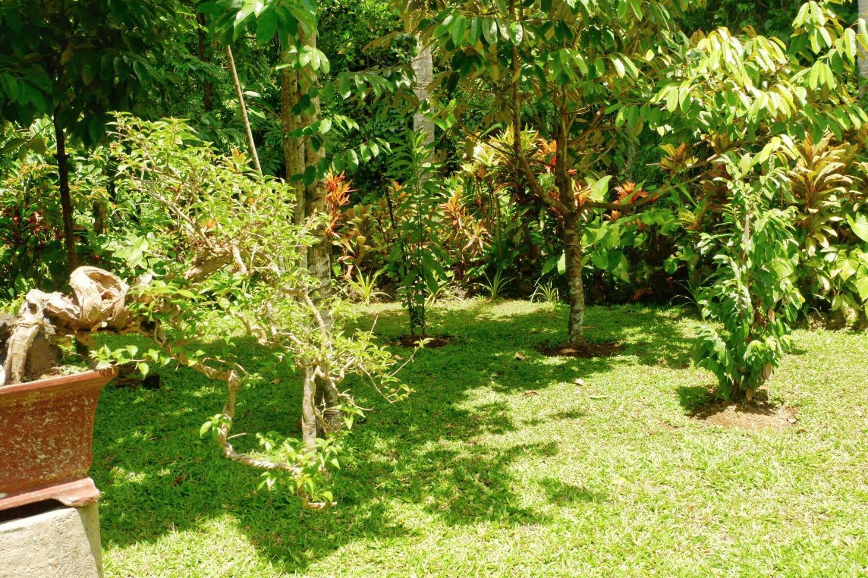 Artja 2* Ubud