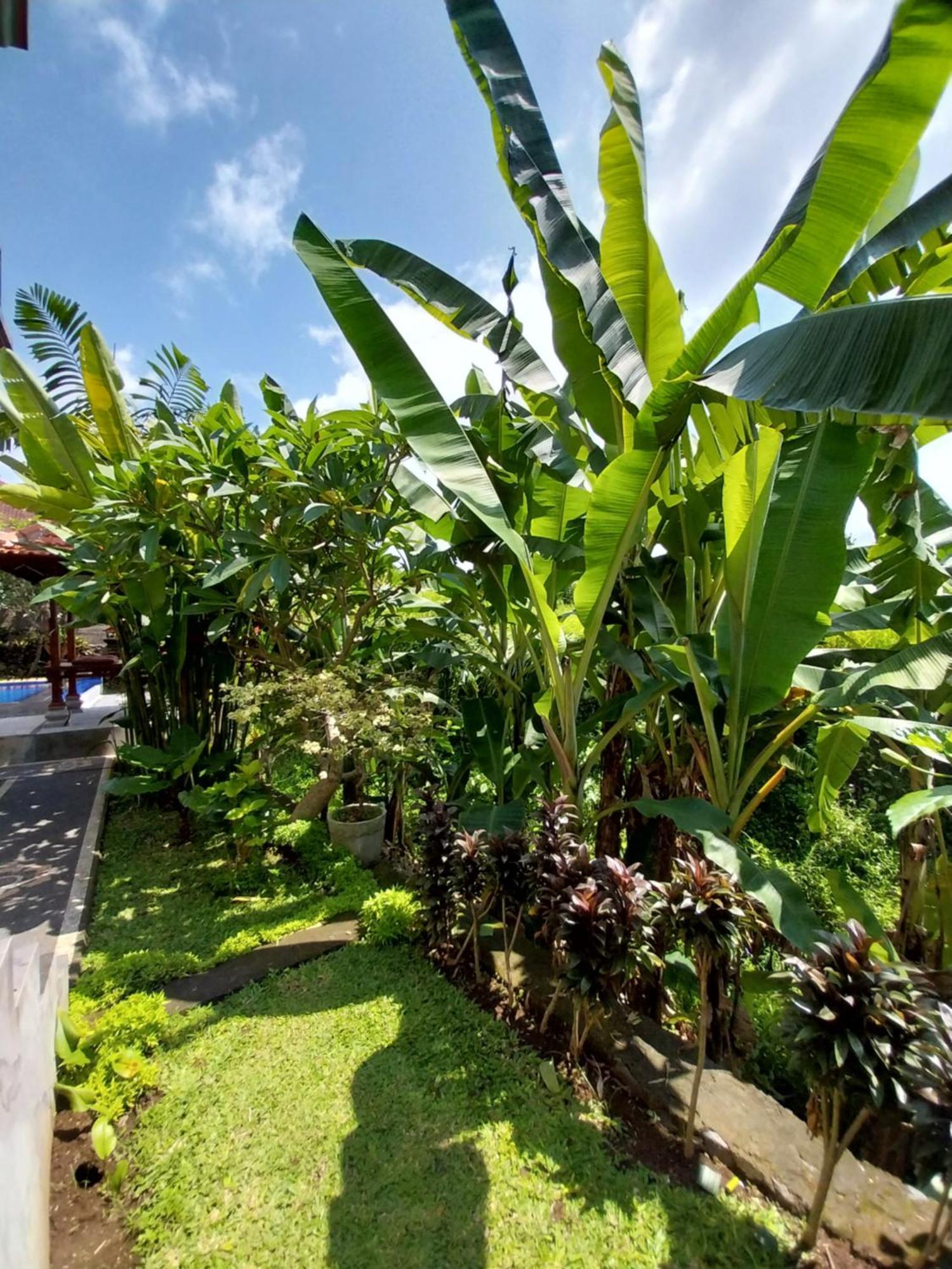 Wisma tamu Puri Prana