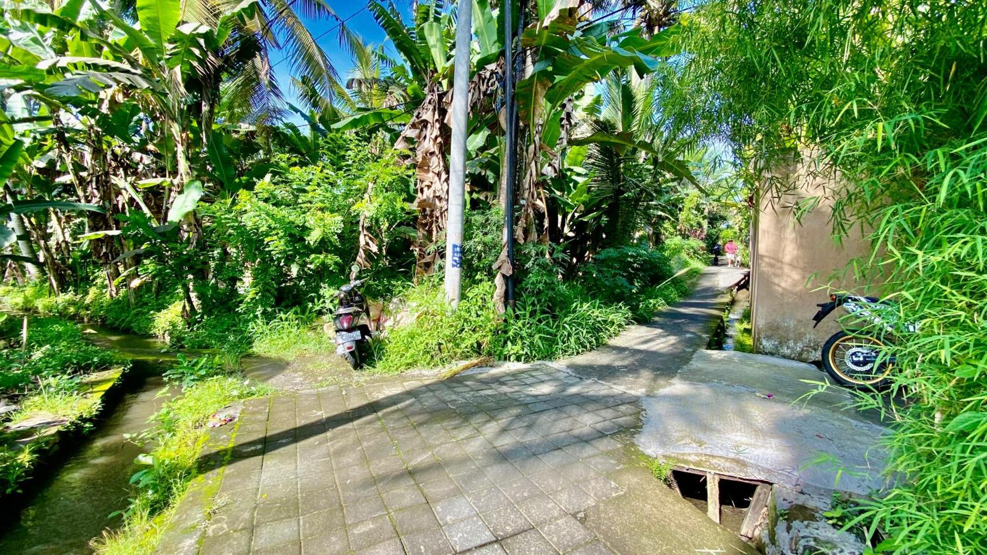 Magica 2 * Ubud (Bali)