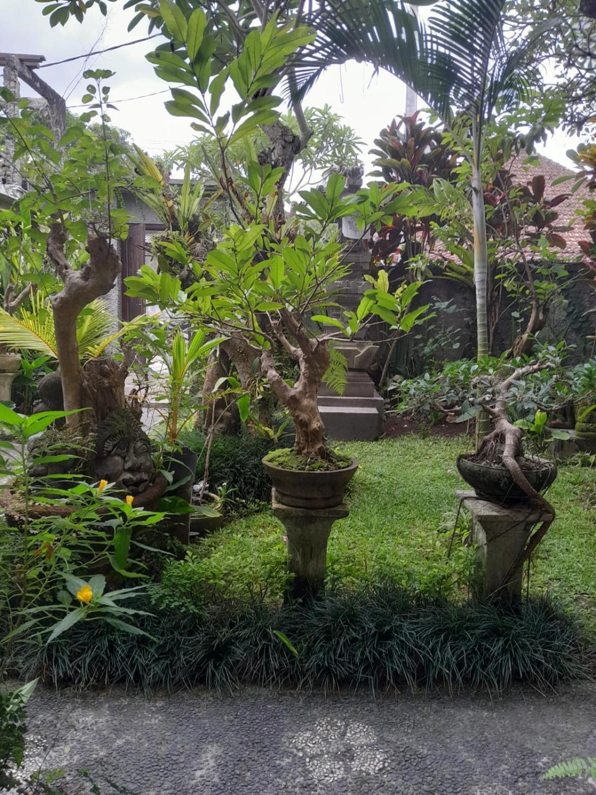 Soka Homestay *