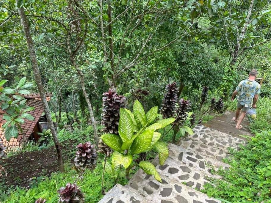 *new* Jungle Joglo With Waterfall View Villa Ubud (Bali)
