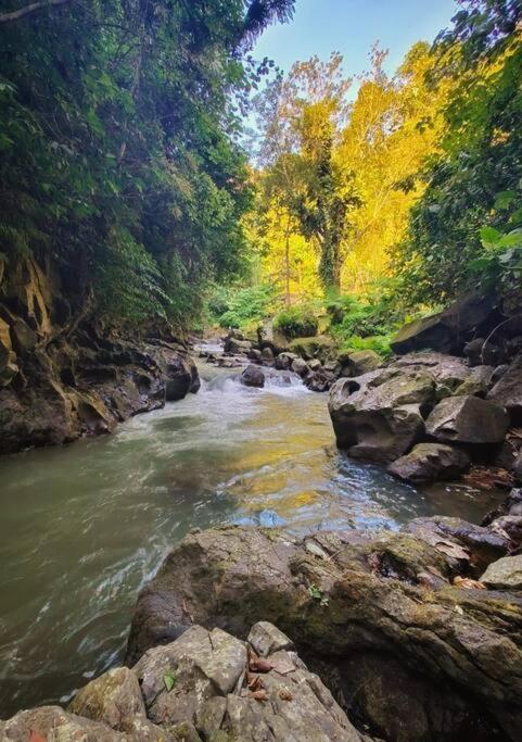 *new* Jungle Joglo With Waterfall View Ubud (Bali)