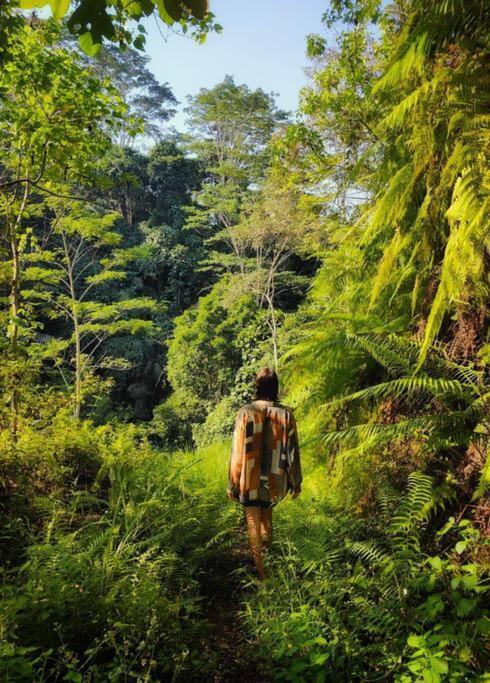*new* Jungle Joglo With Waterfall View *
