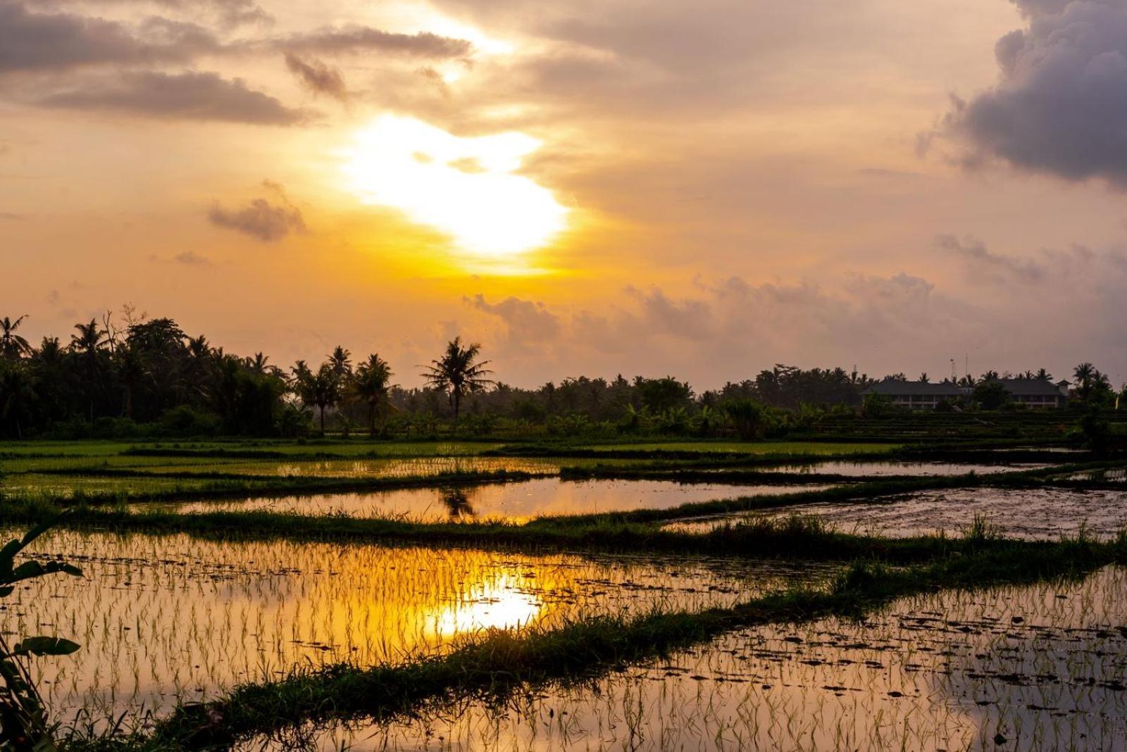 Villa Suga Estate - Rice Field View Ubud (Bali)