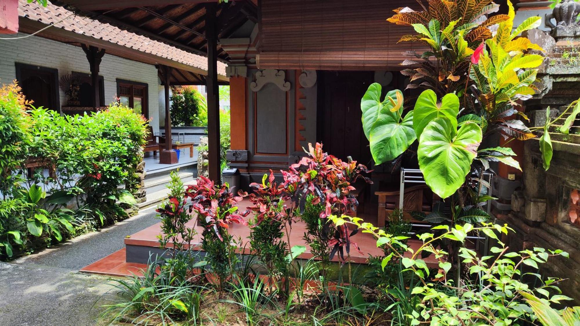 Guest house Swan