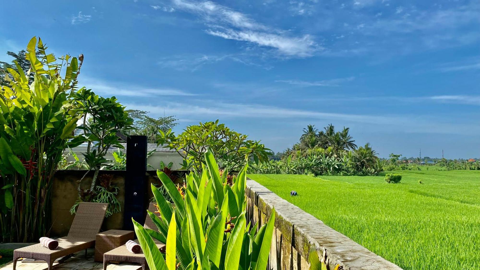 Magica * Ubud
