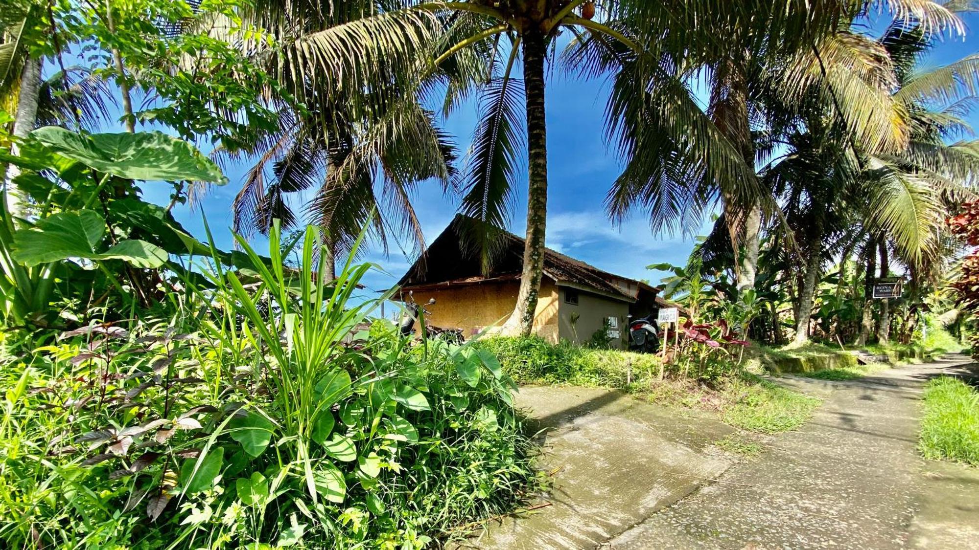 Pousada Magica Ubud