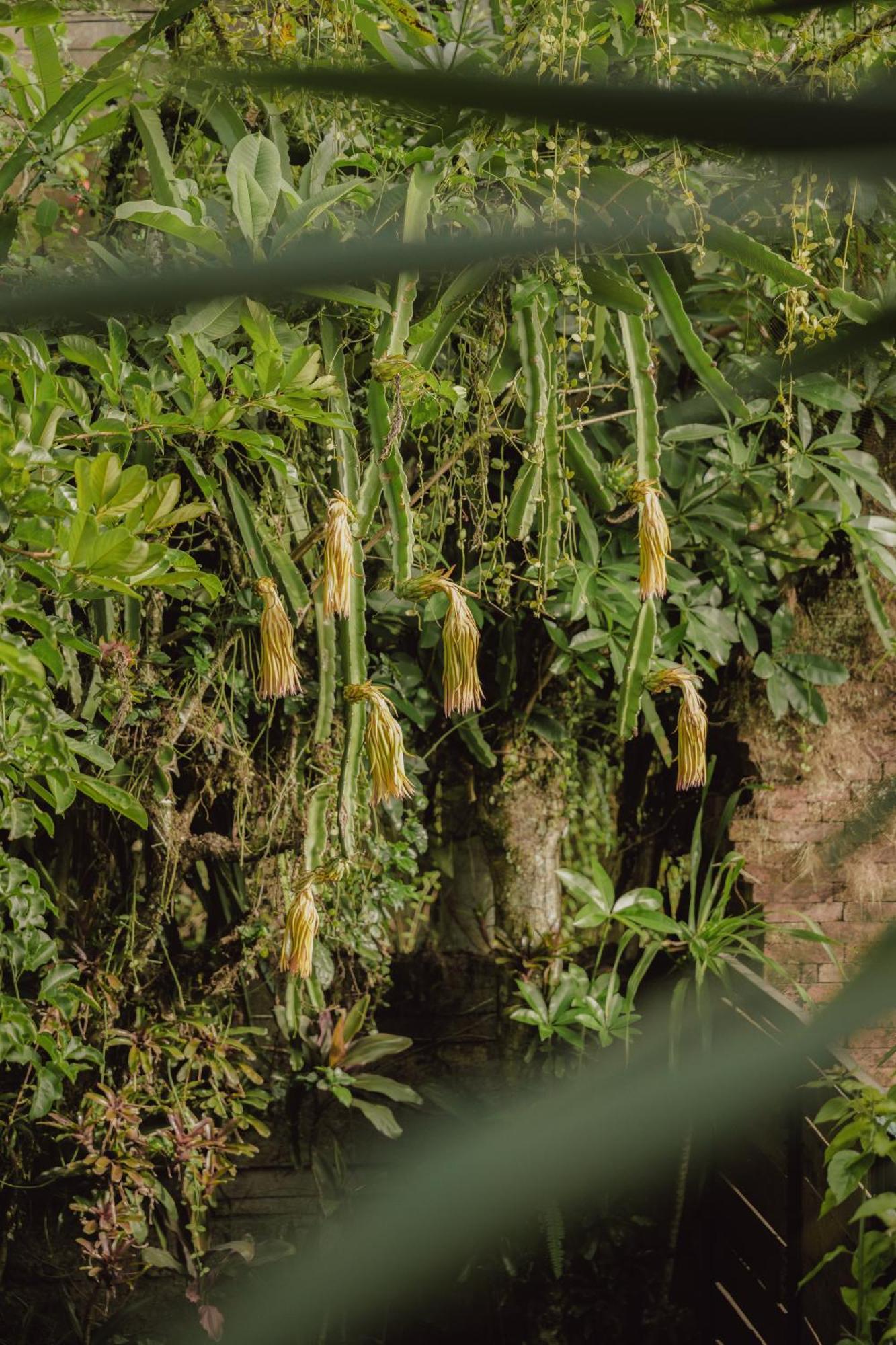 Lumbung Casa de hóspedes
