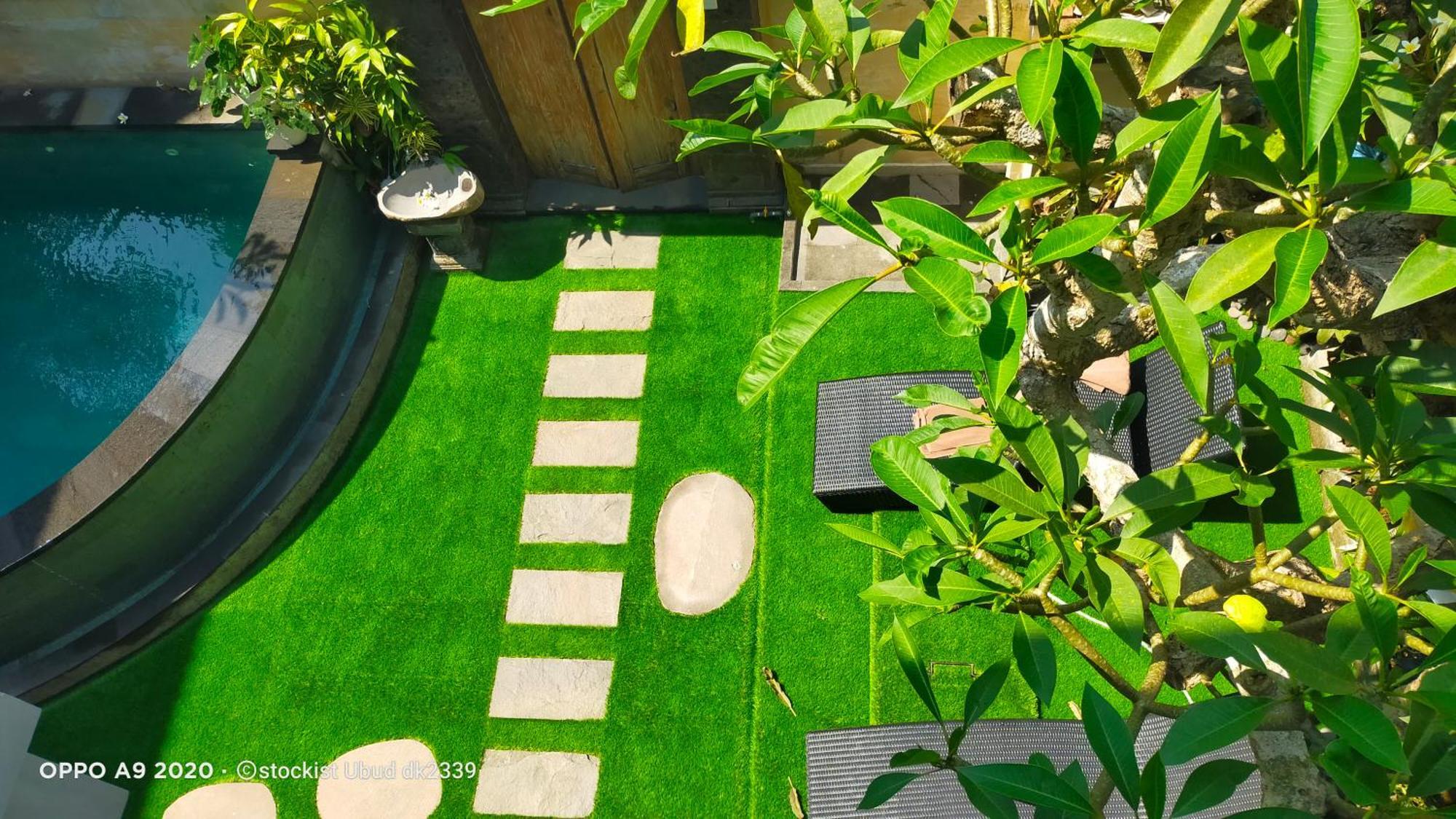 Danu House Villa