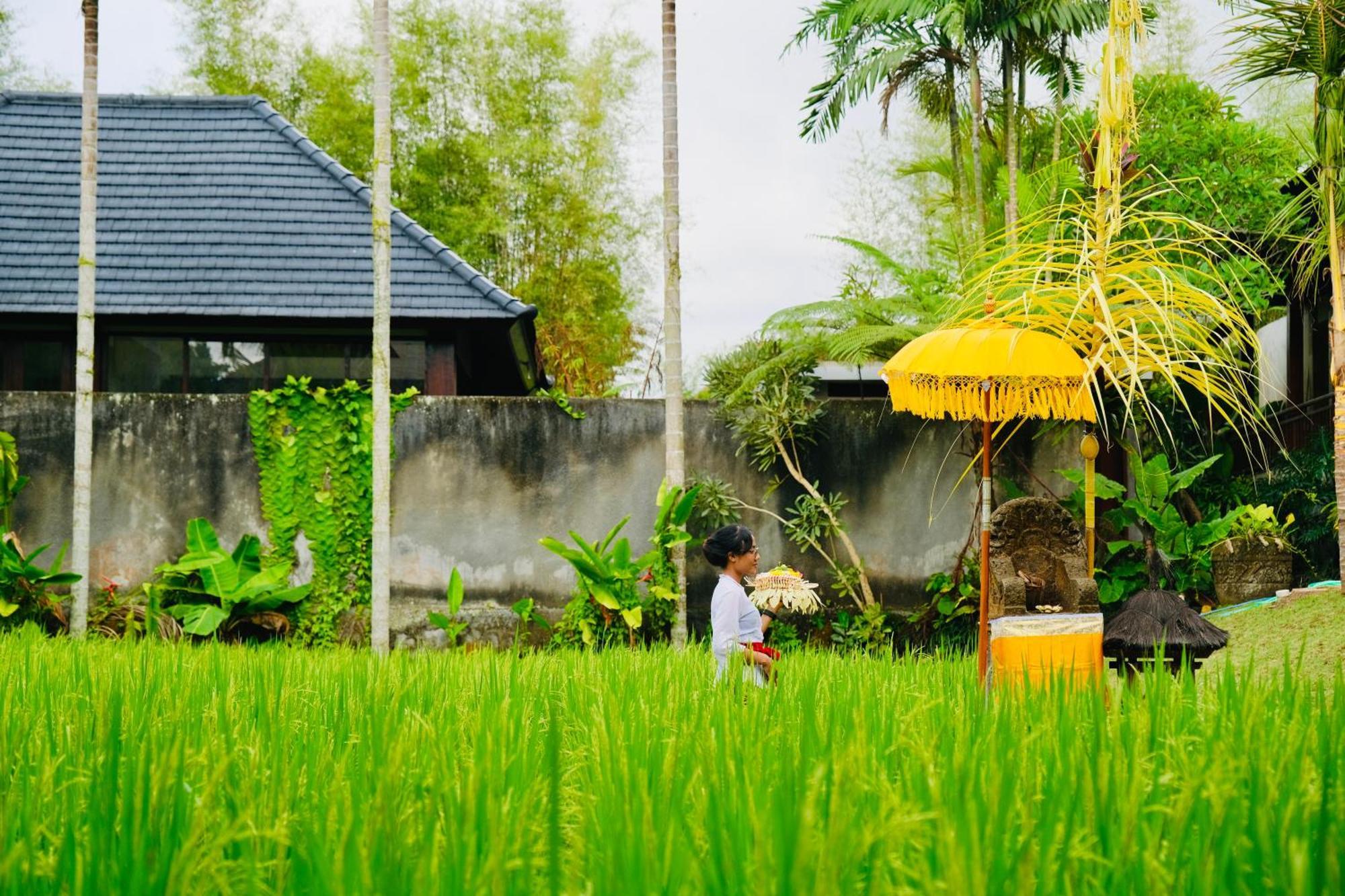 Villa Wana Karsa The