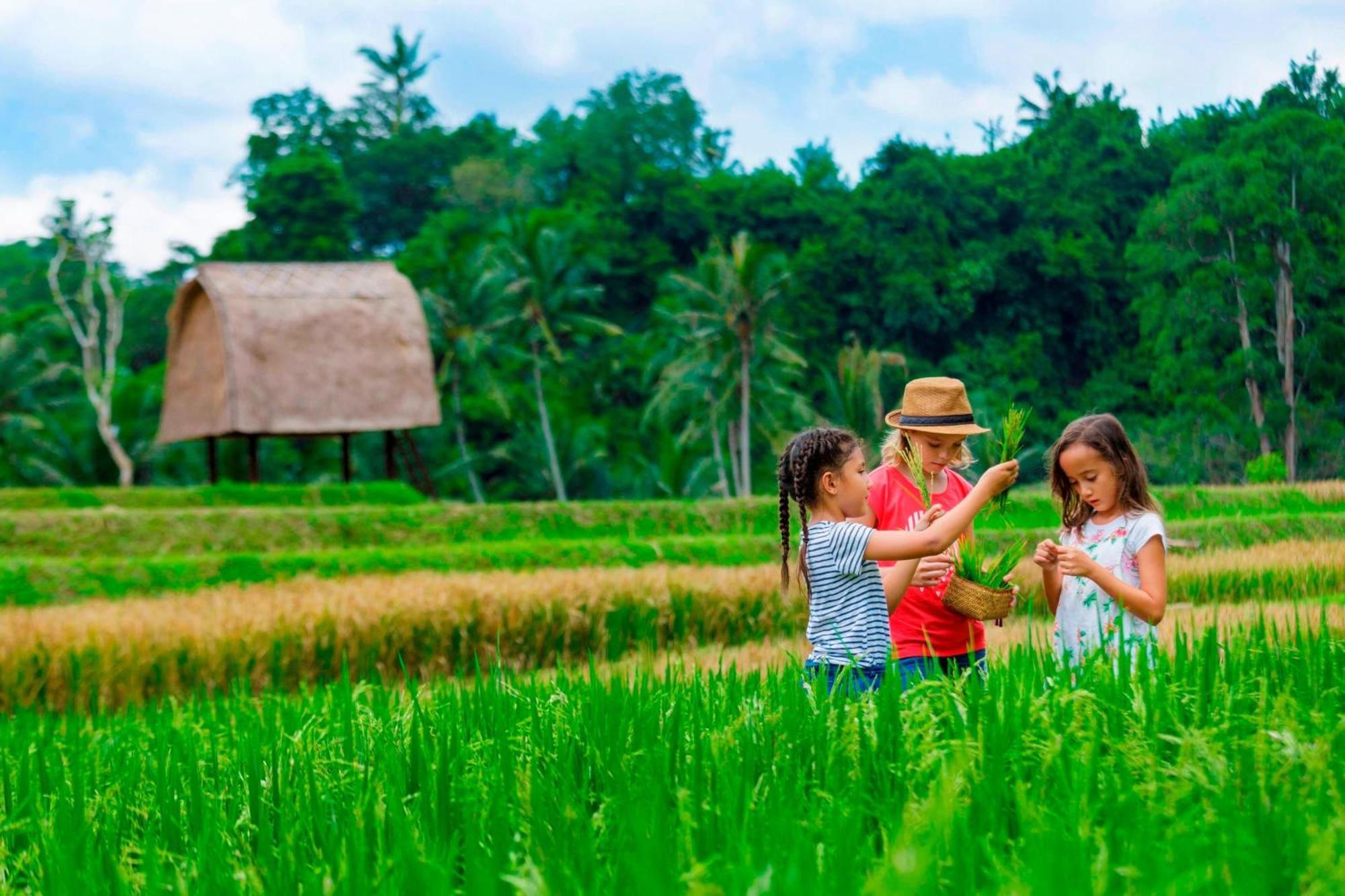 Resort Mandapa, A Ritz-carlton Reserve Ubud (Bali)