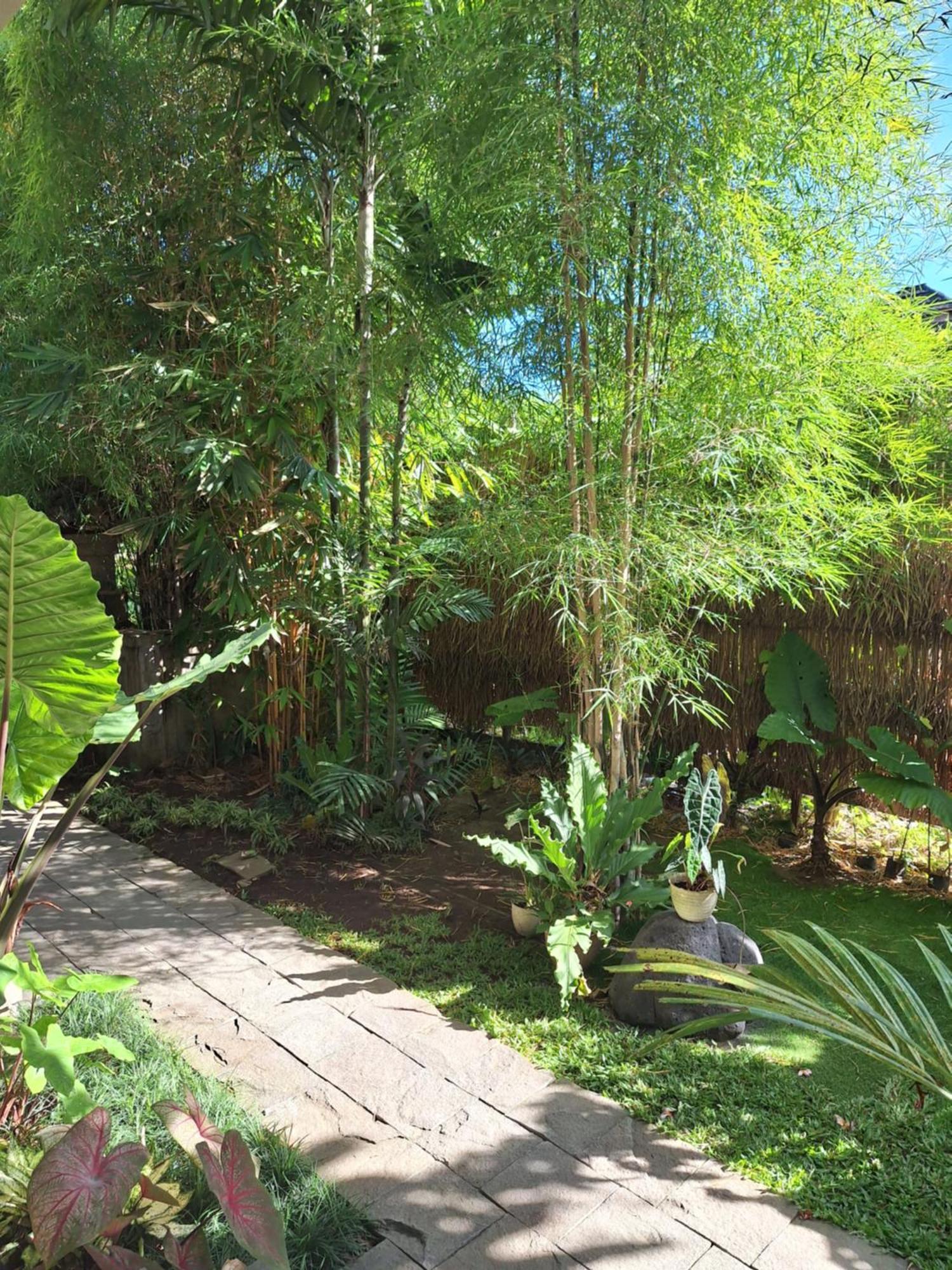 Kasapa * Ubud