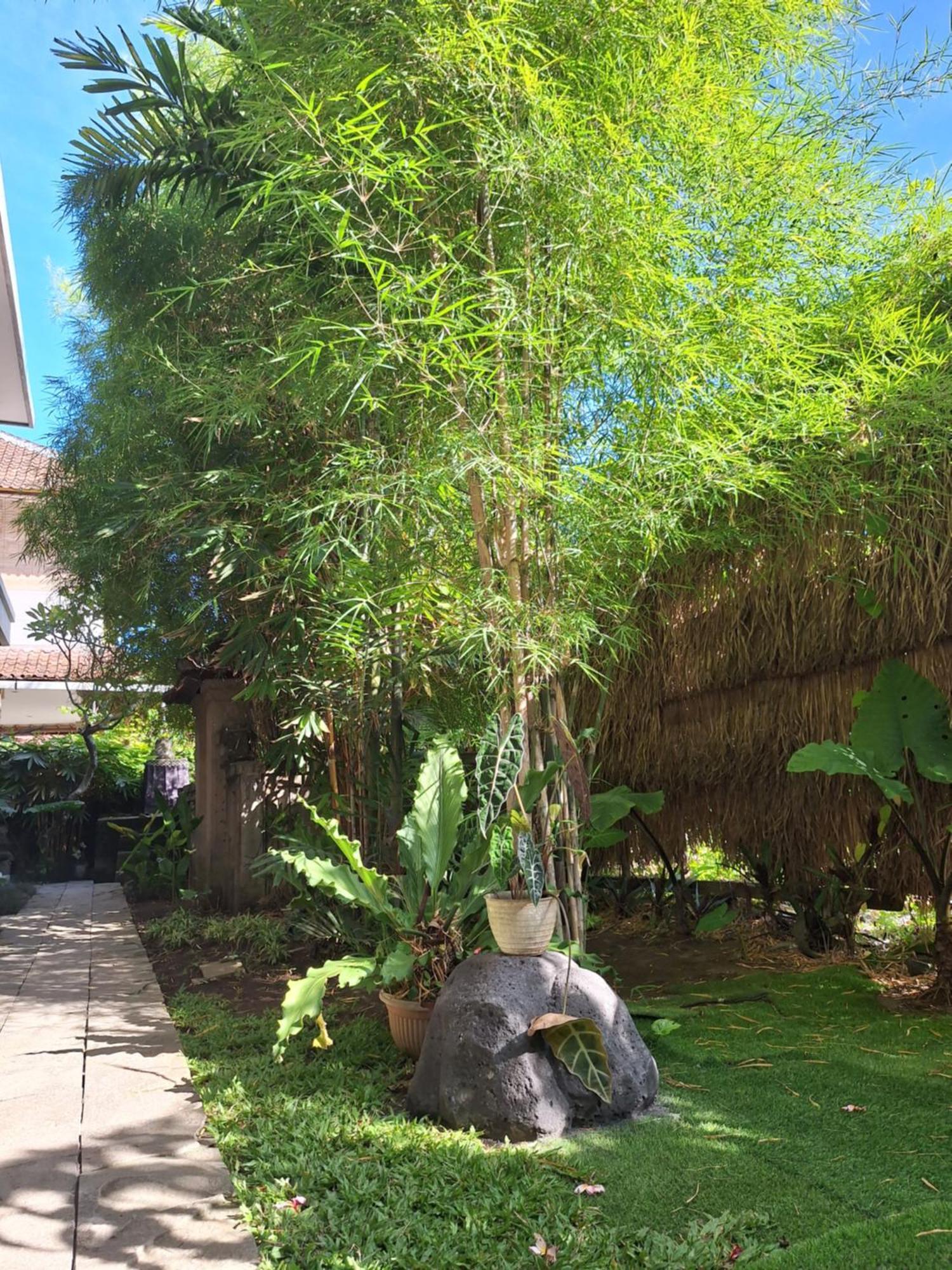 Kasapa Casa de hóspedes