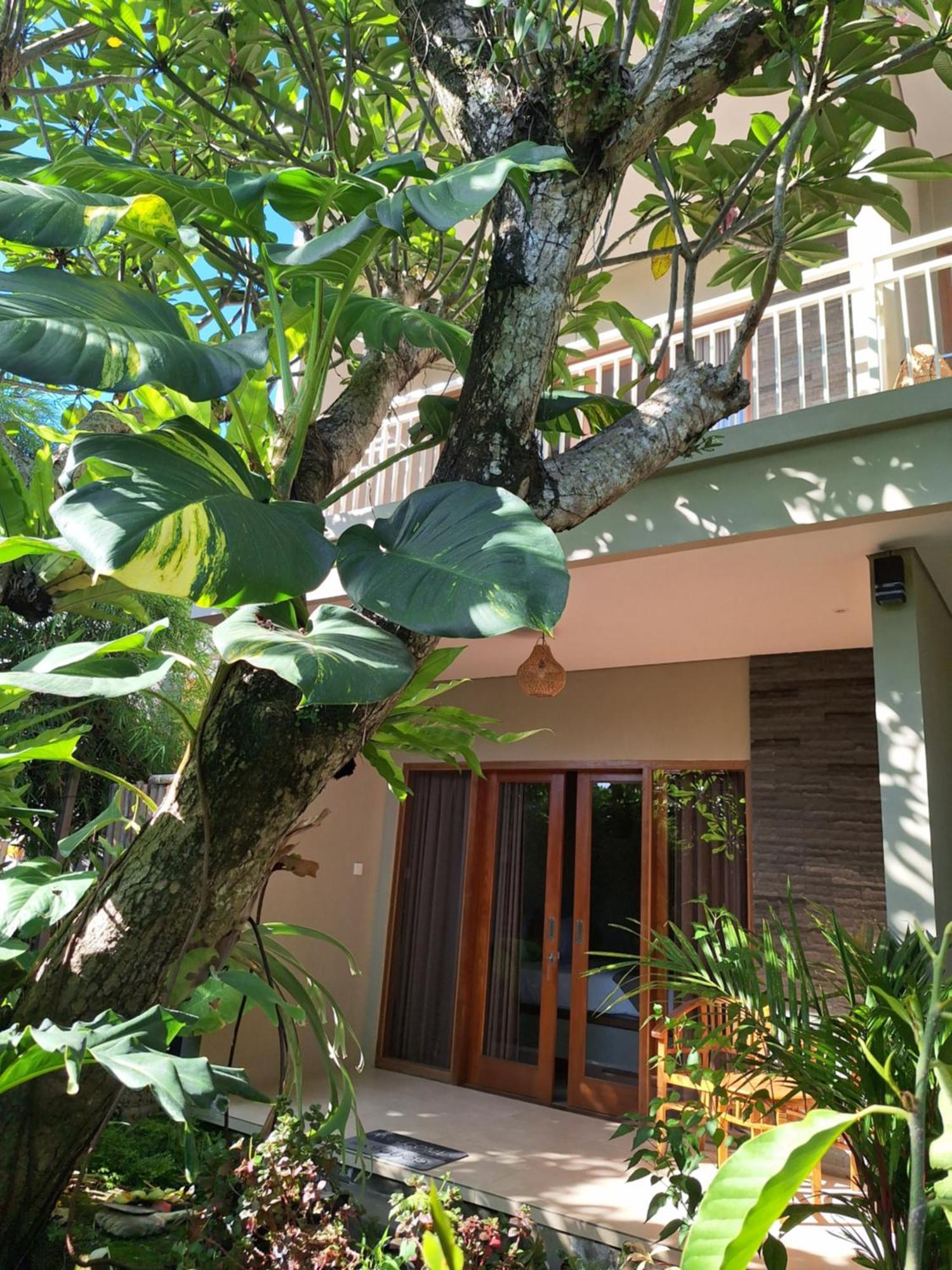 Kasapa Casa de hóspedes