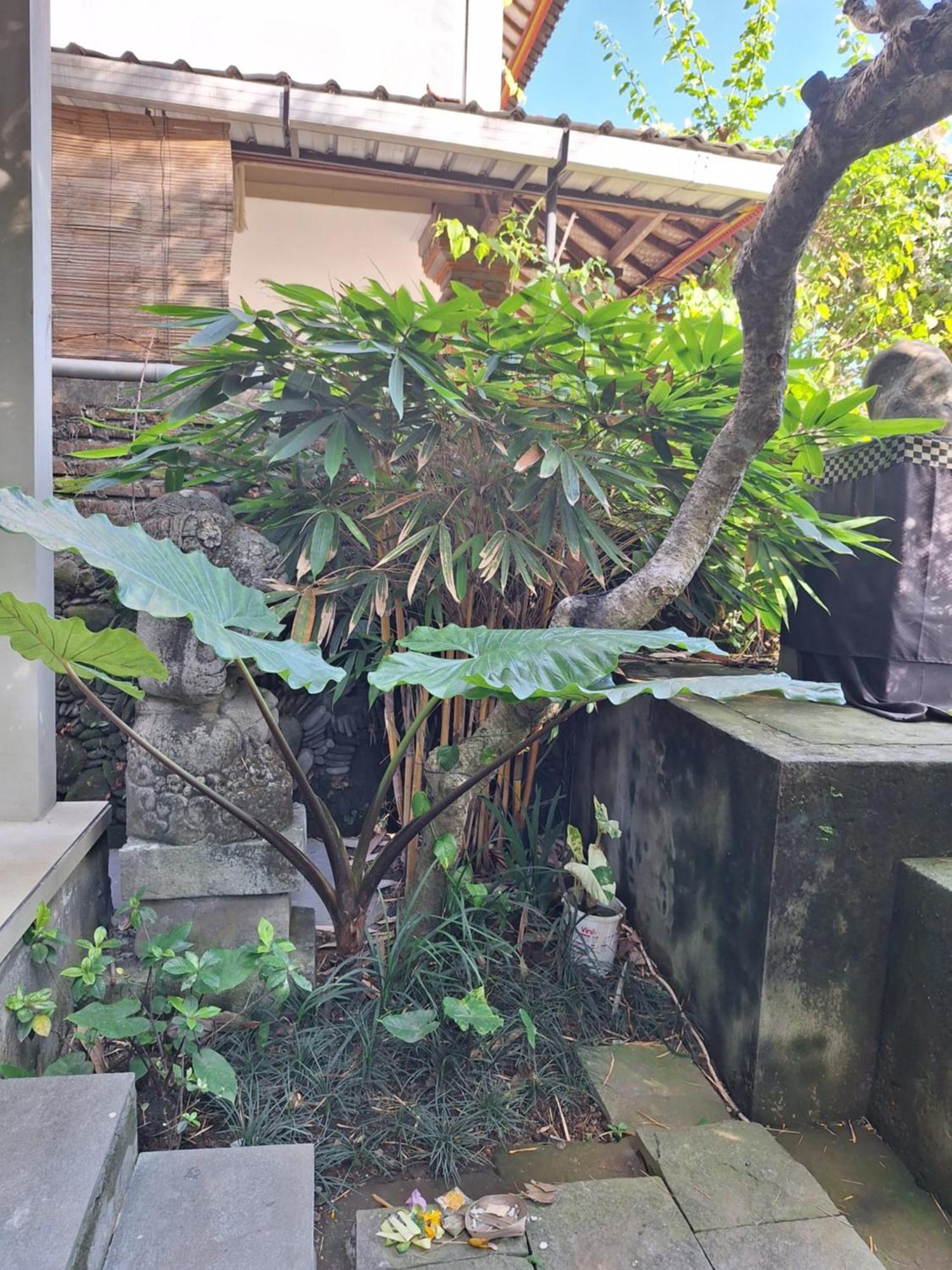 Kasapa Ubud