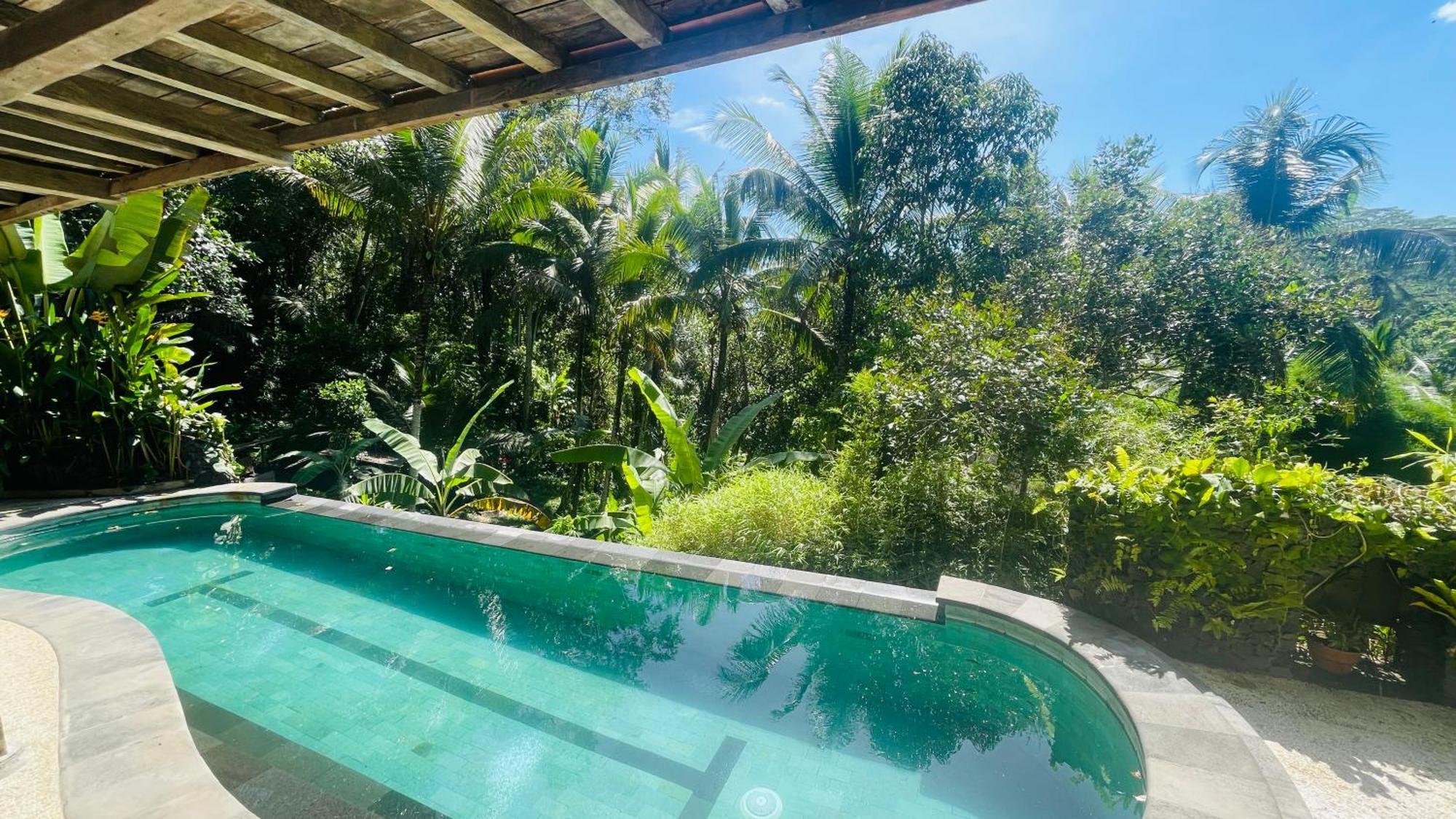 Homestay Jungle With Panoramic View *