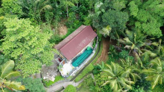 Jungle With Panoramic View Homestay Ubud (Bali)