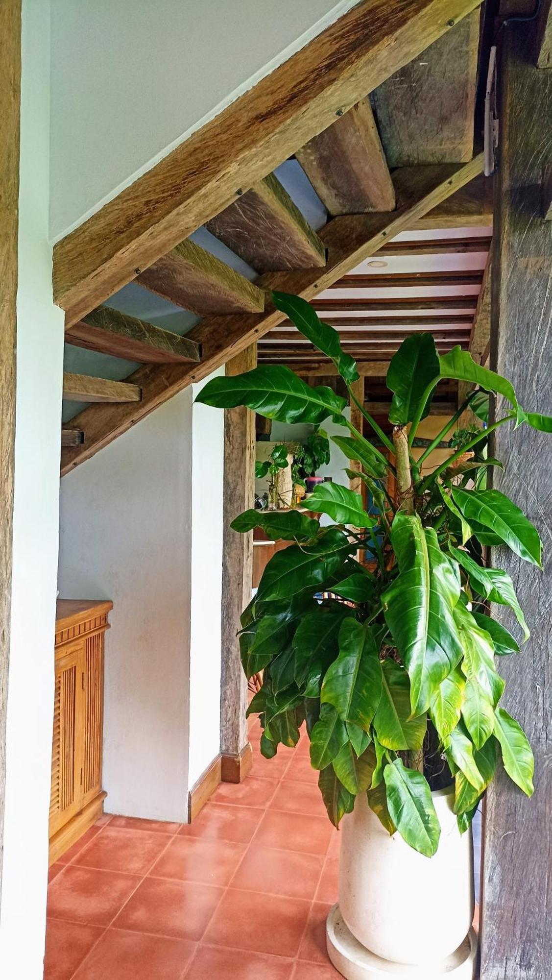 Jungle With Panoramic View Ubud (Bali)