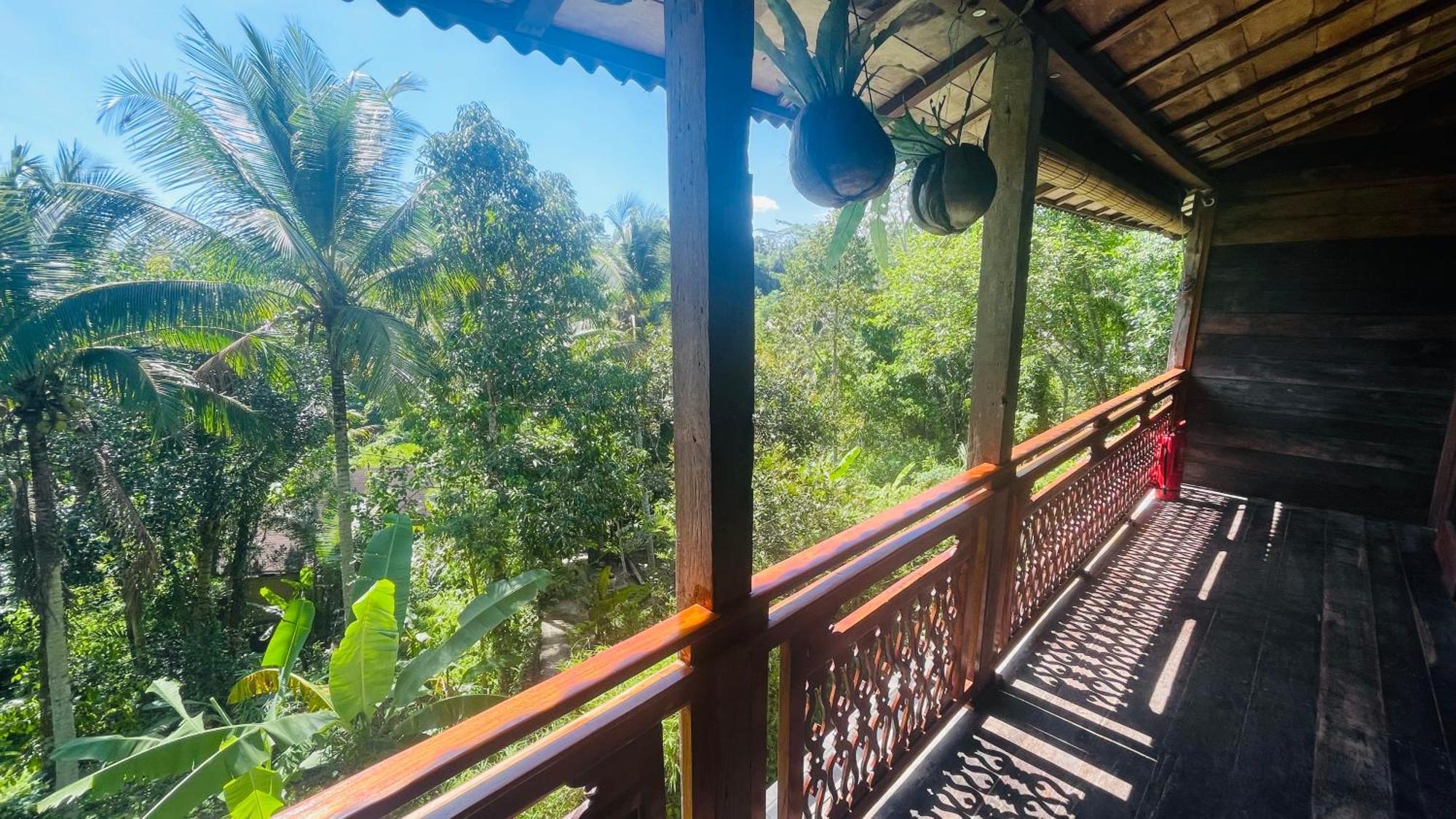 Jungle With Panoramic View Homestay