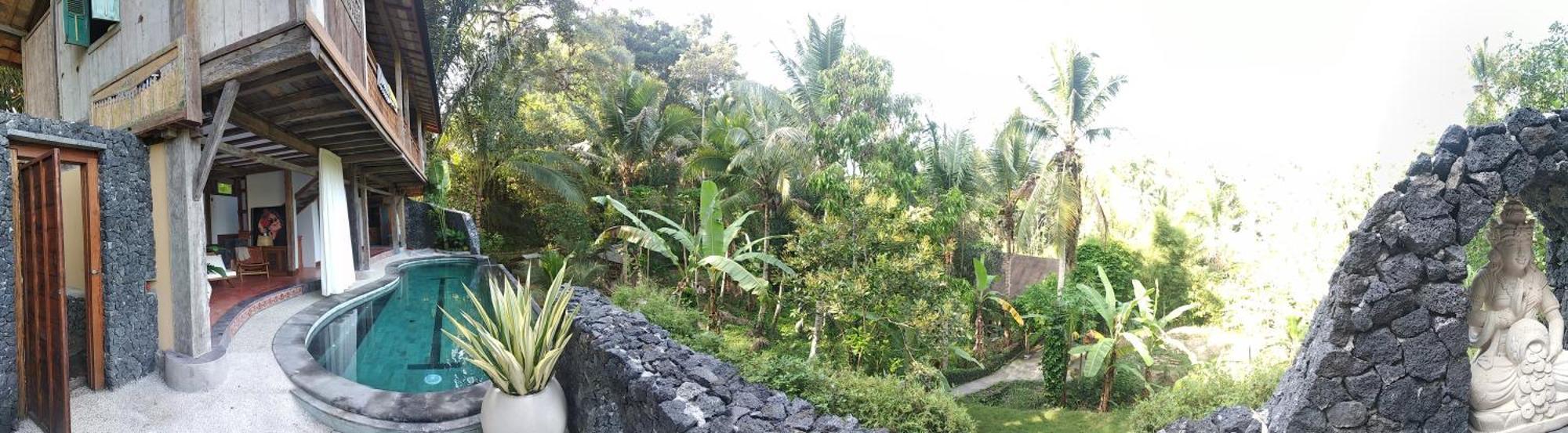 Jungle With Panoramic View * Ubud (Bali)
