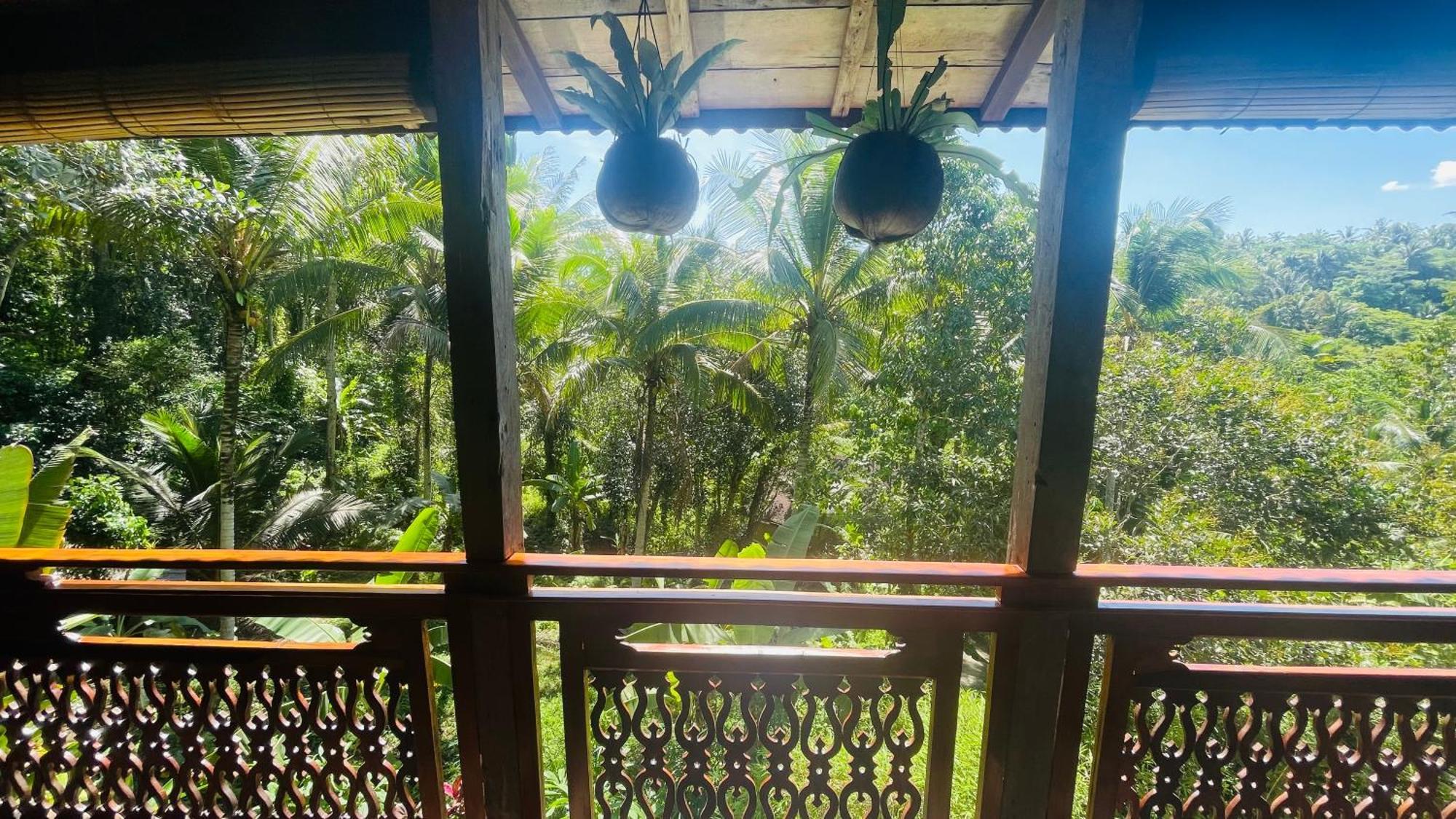 Jungle With Panoramic View Ubud (Bali)