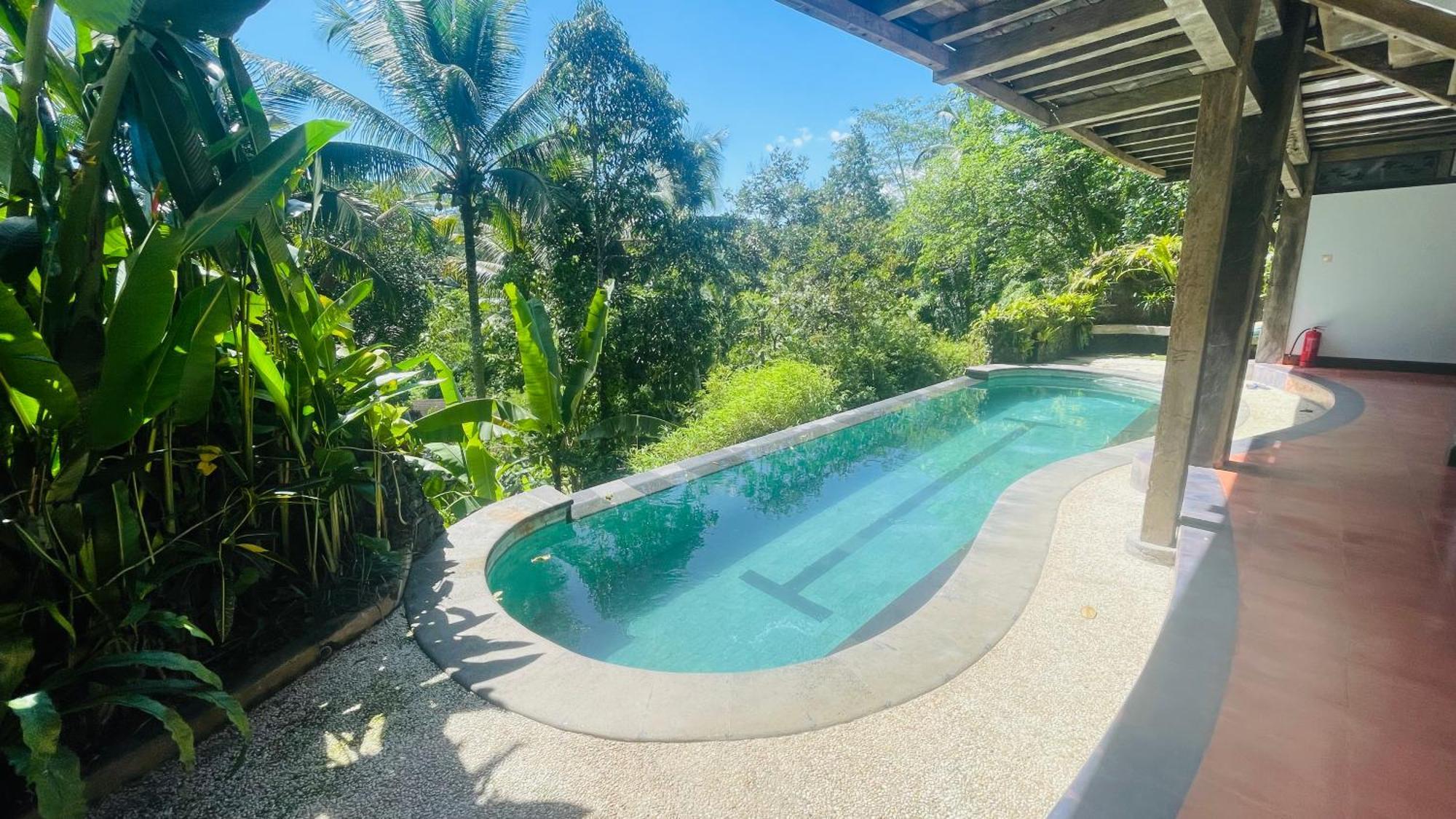 Jungle With Panoramic View Homestay *