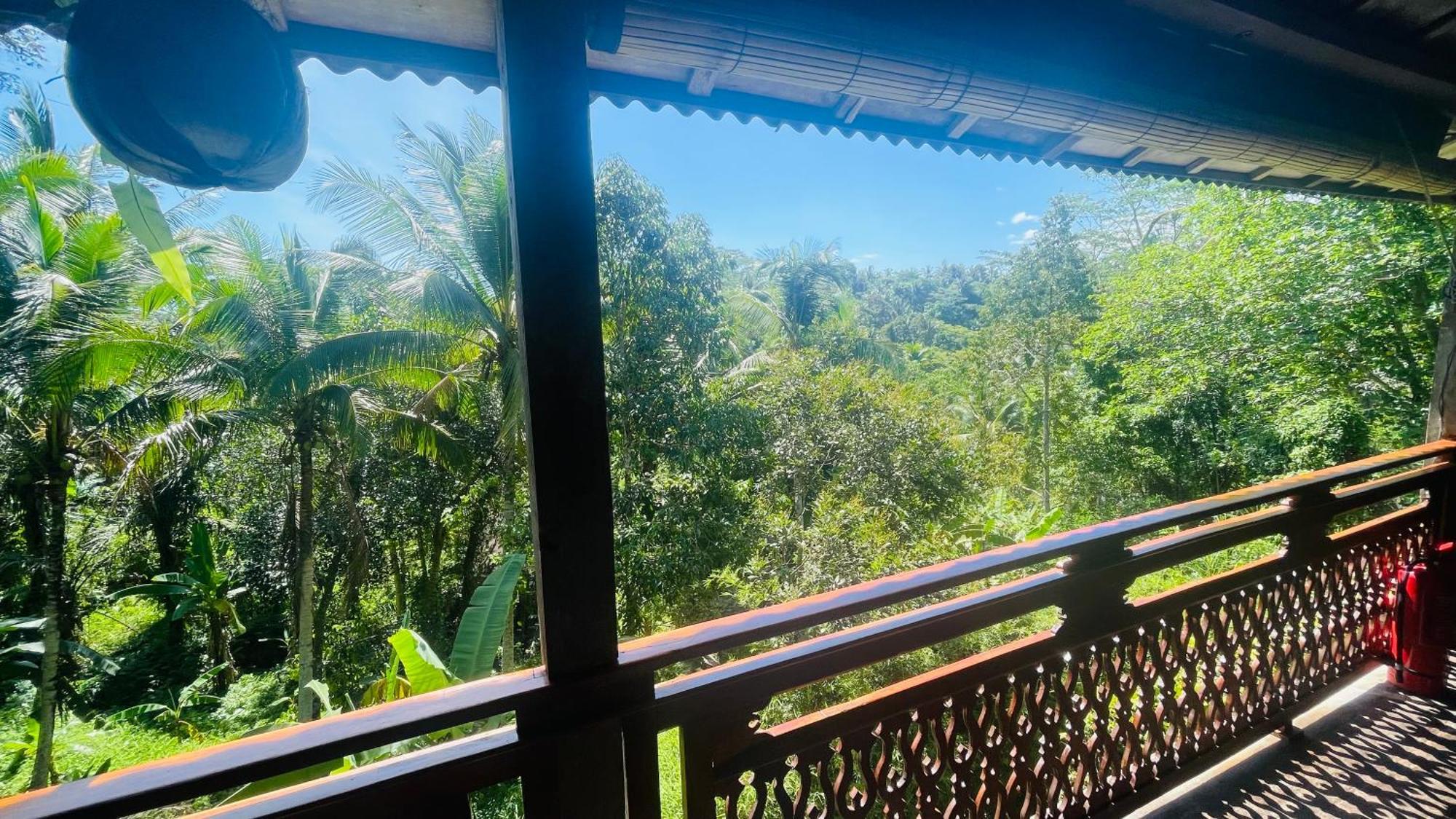 Jungle With Panoramic View Homestay