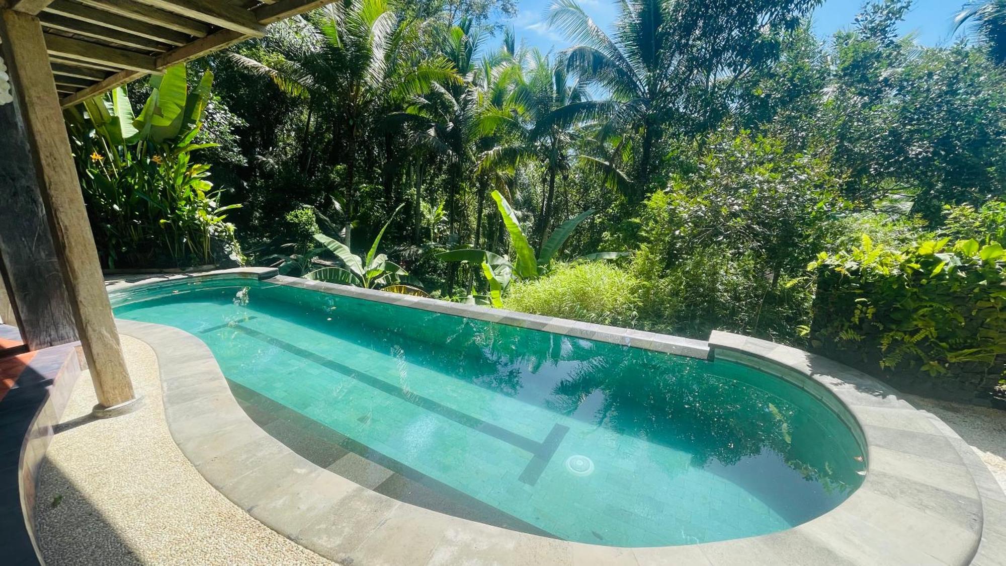 Homestay Jungle With Panoramic View *