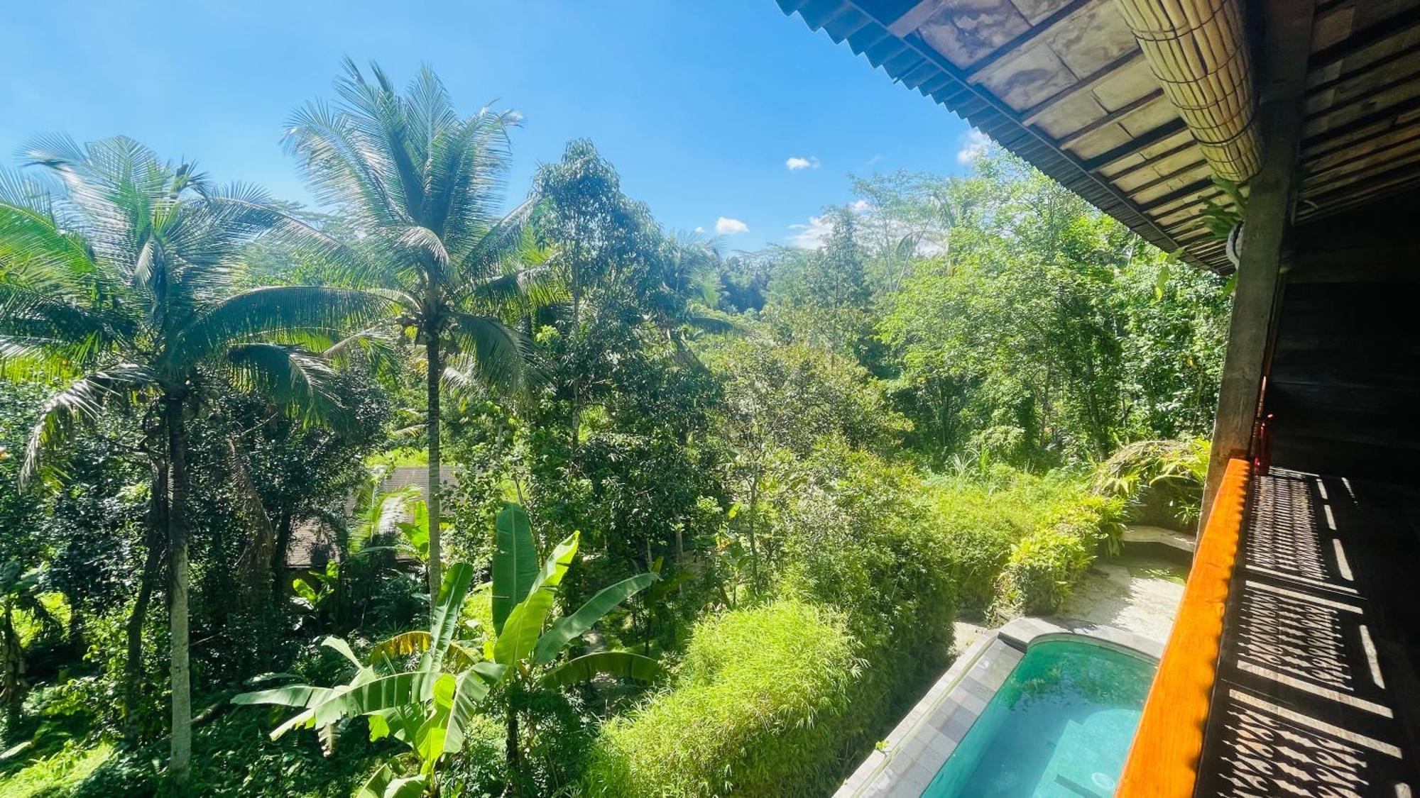 Jungle With Panoramic View * Ubud (Bali)