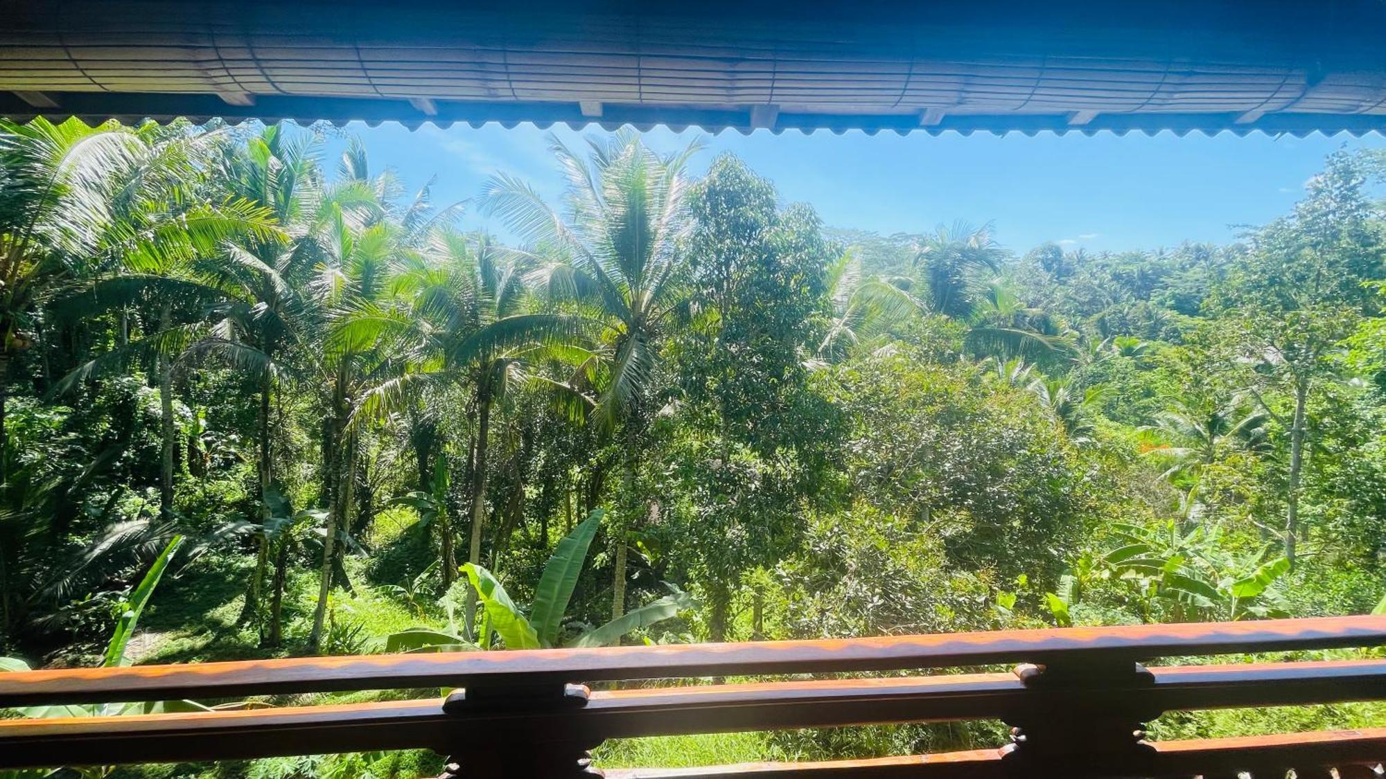 Jungle With Panoramic View Homestay
