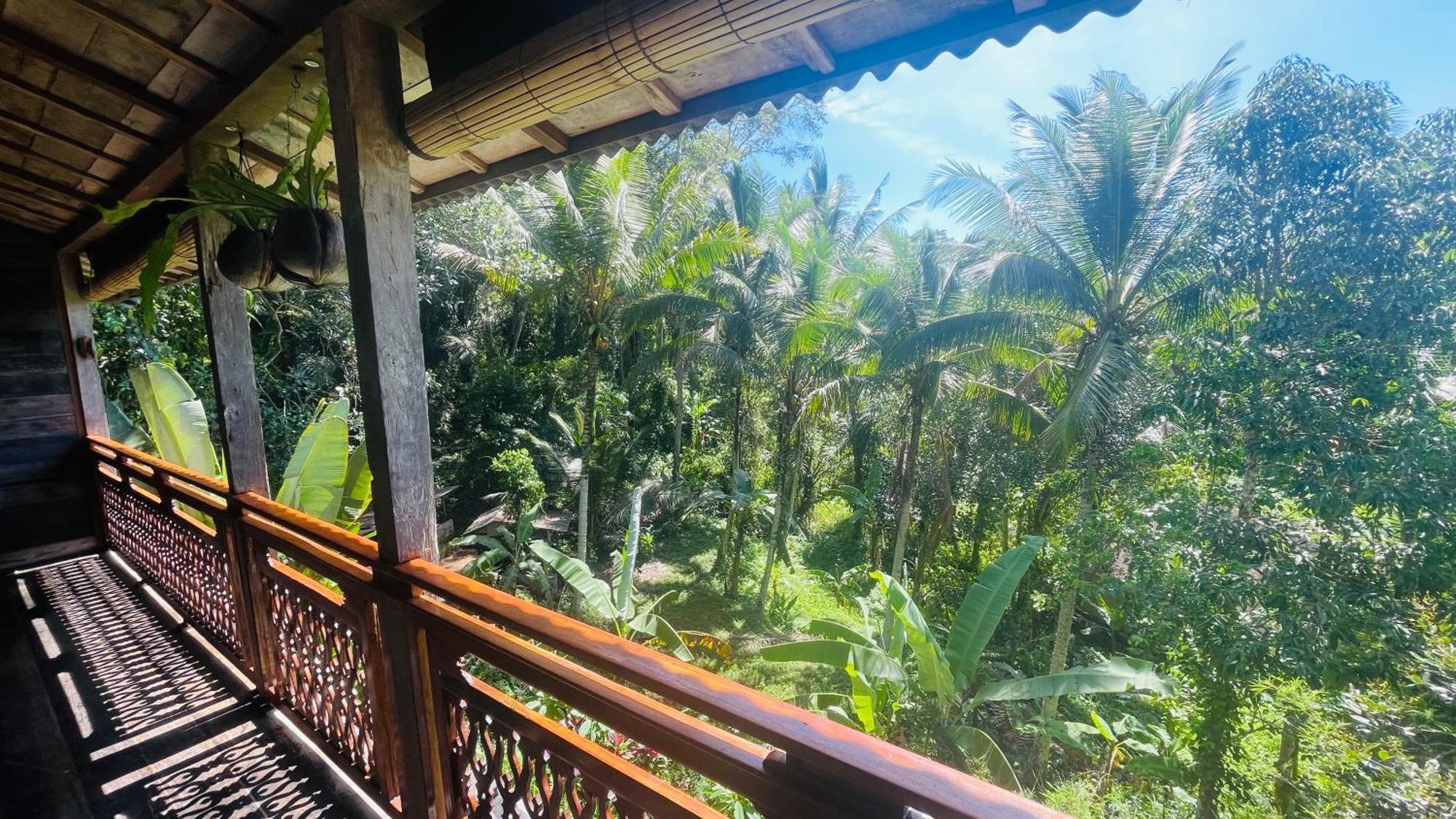 Jungle With Panoramic View Homestay Ubud (Bali)