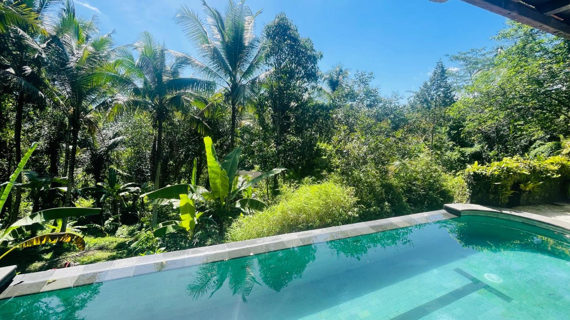 Homestay Jungle With Panoramic View