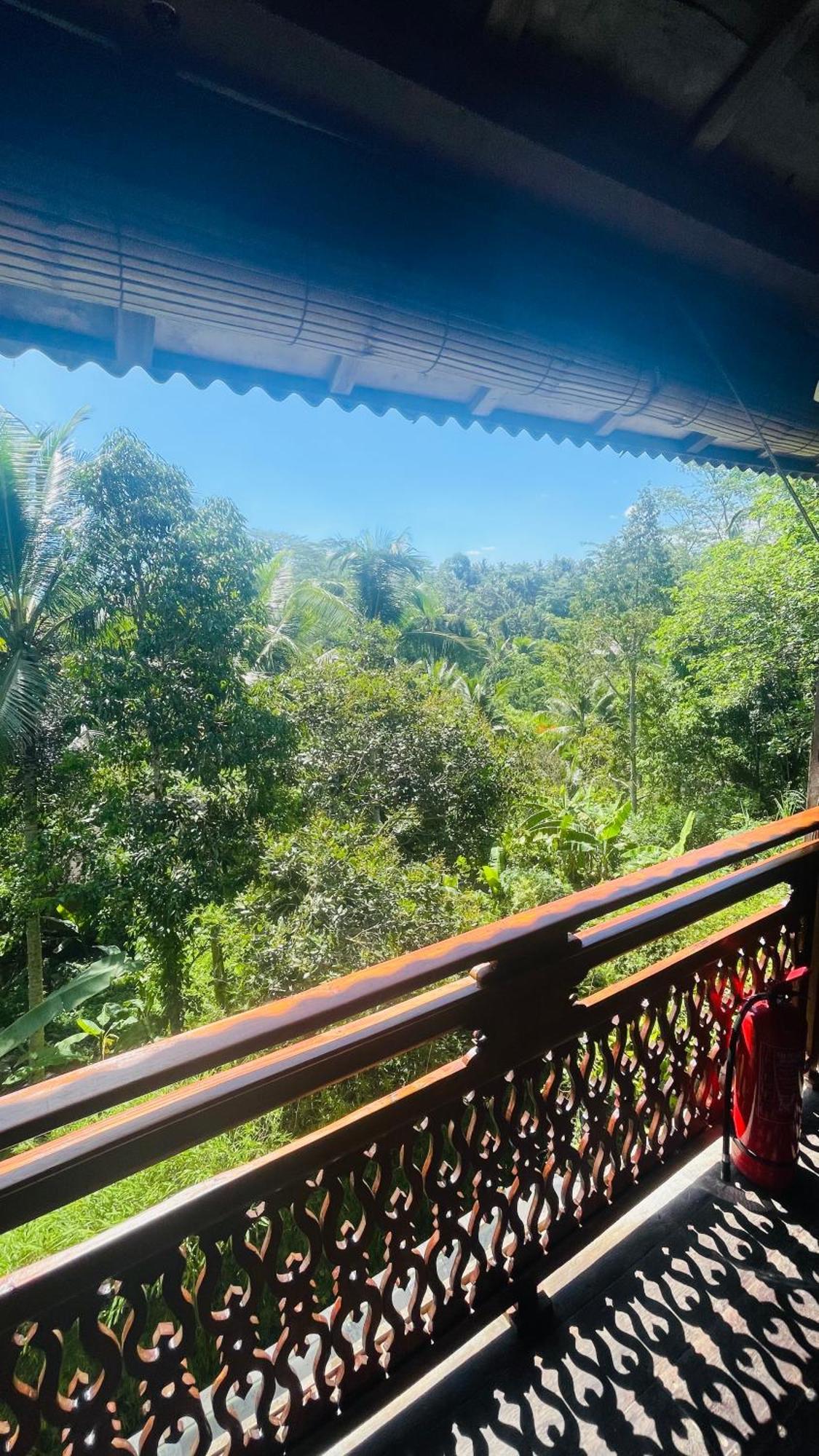 Jungle With Panoramic View * Ubud (Bali)
