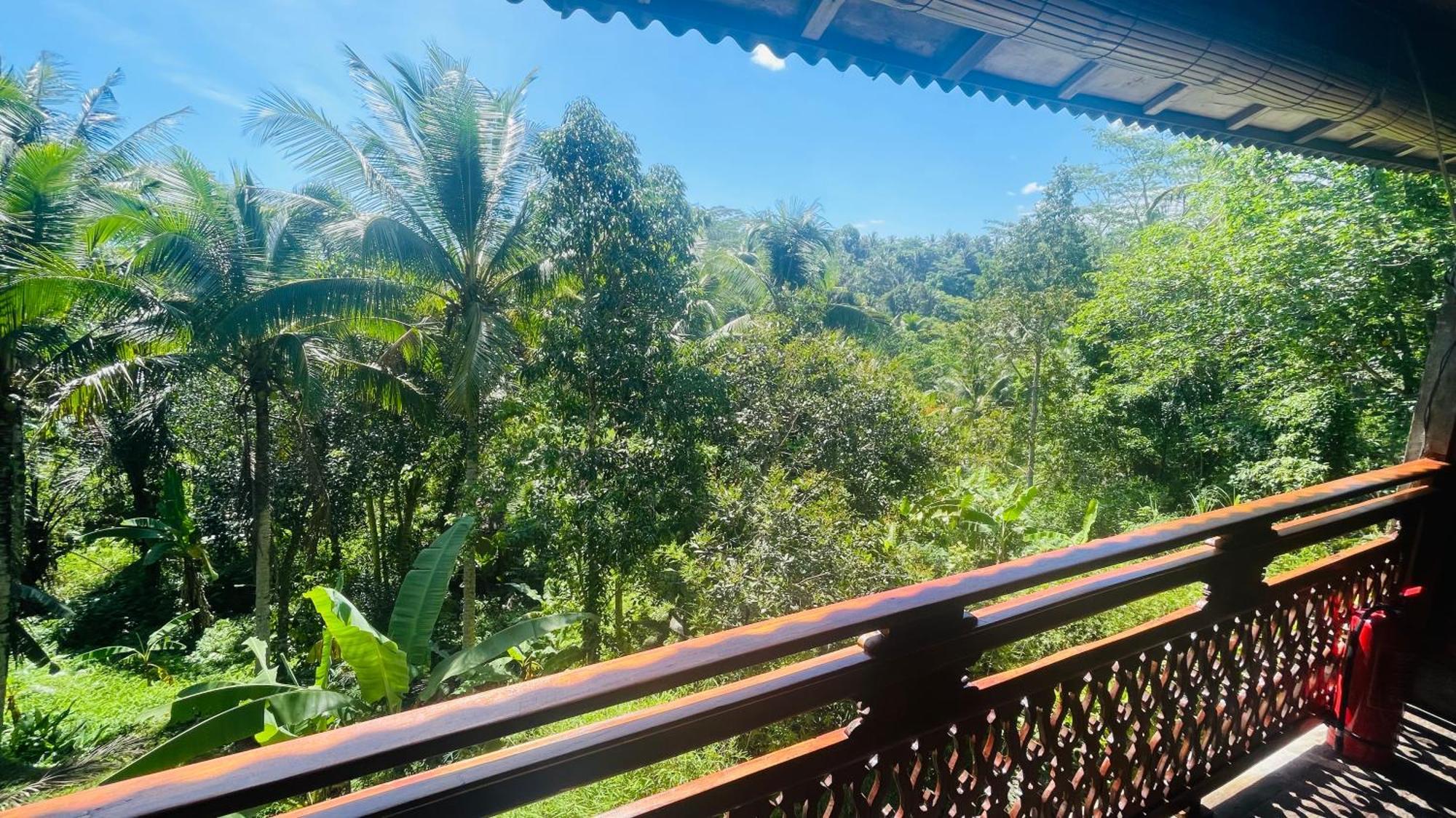 Jungle With Panoramic View Homestay