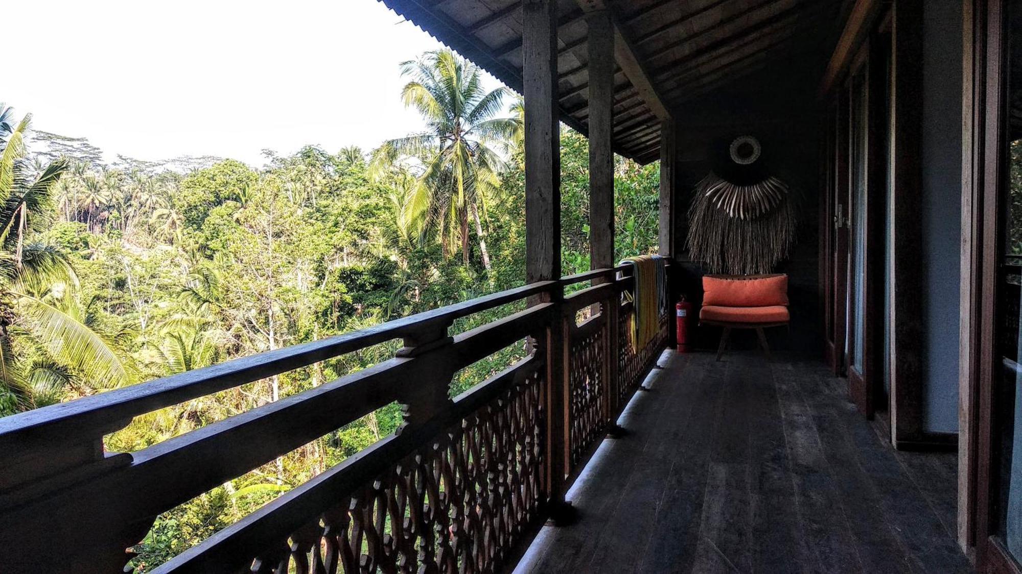 Jungle With Panoramic View *