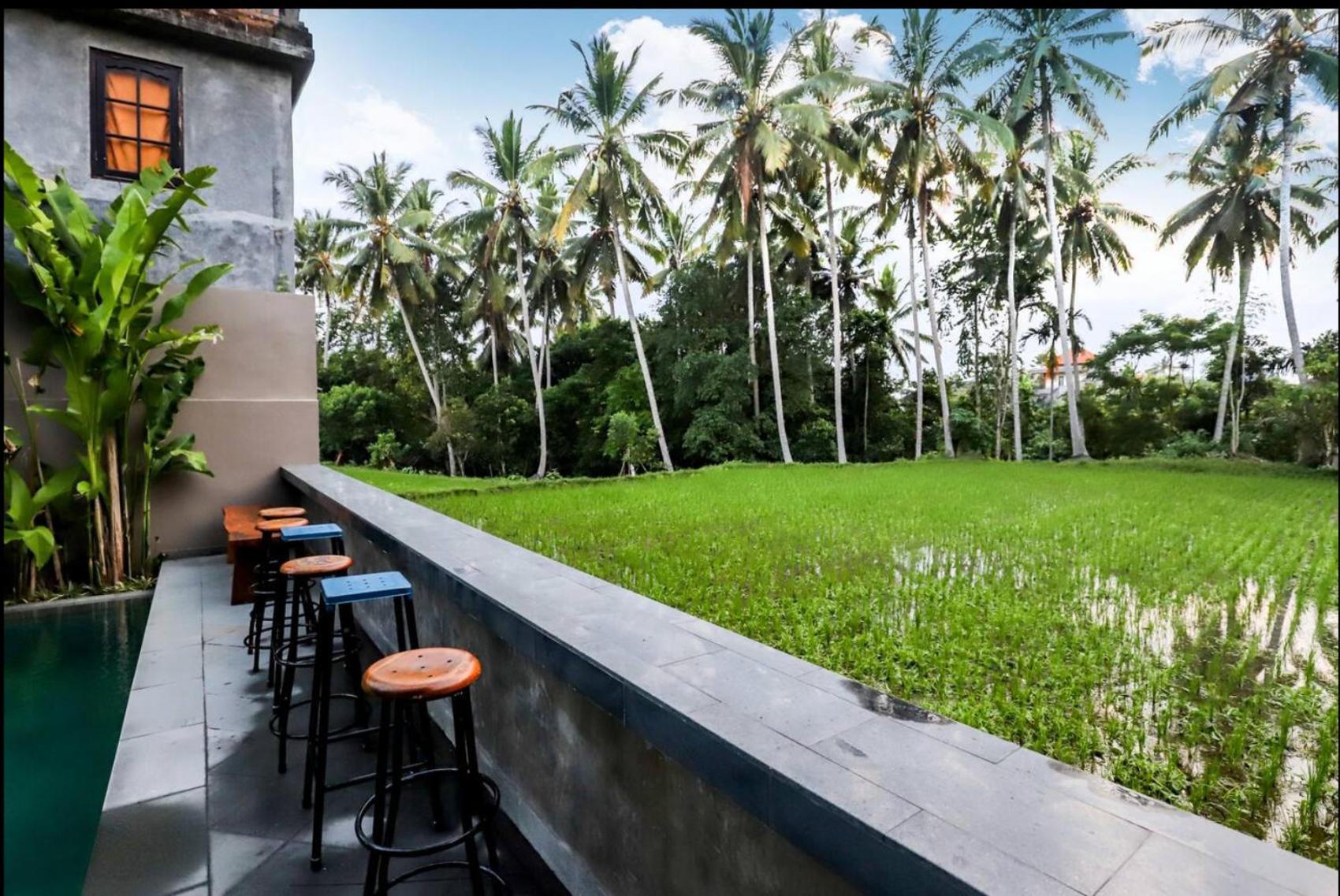 Harmony House 8: Rice Field View 2 Min Center *